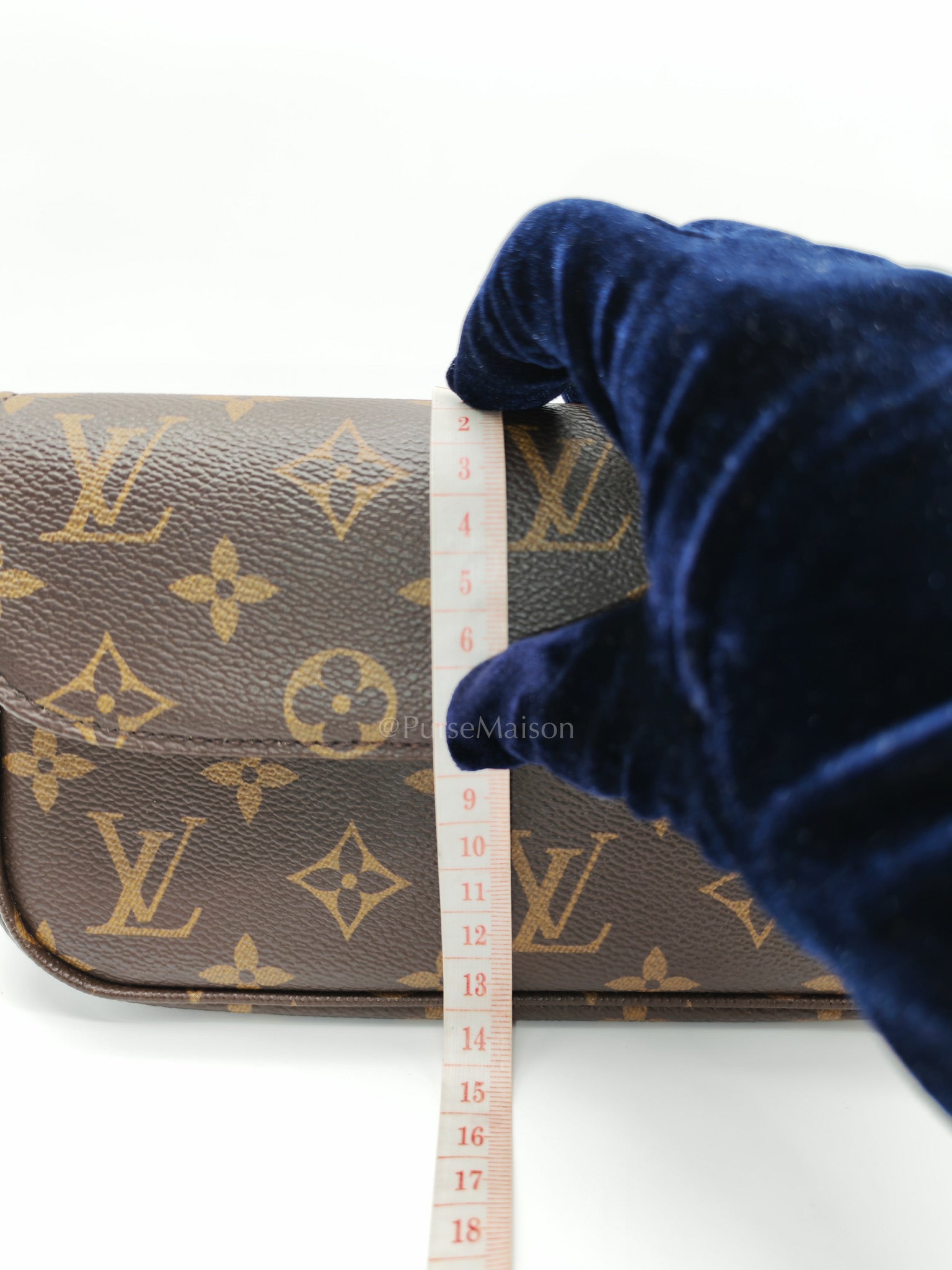 Ivy Wallet On Chain in Monogram Canvas Shoulder Bag (Microchip) | Purse Maison Luxury Bags Shop