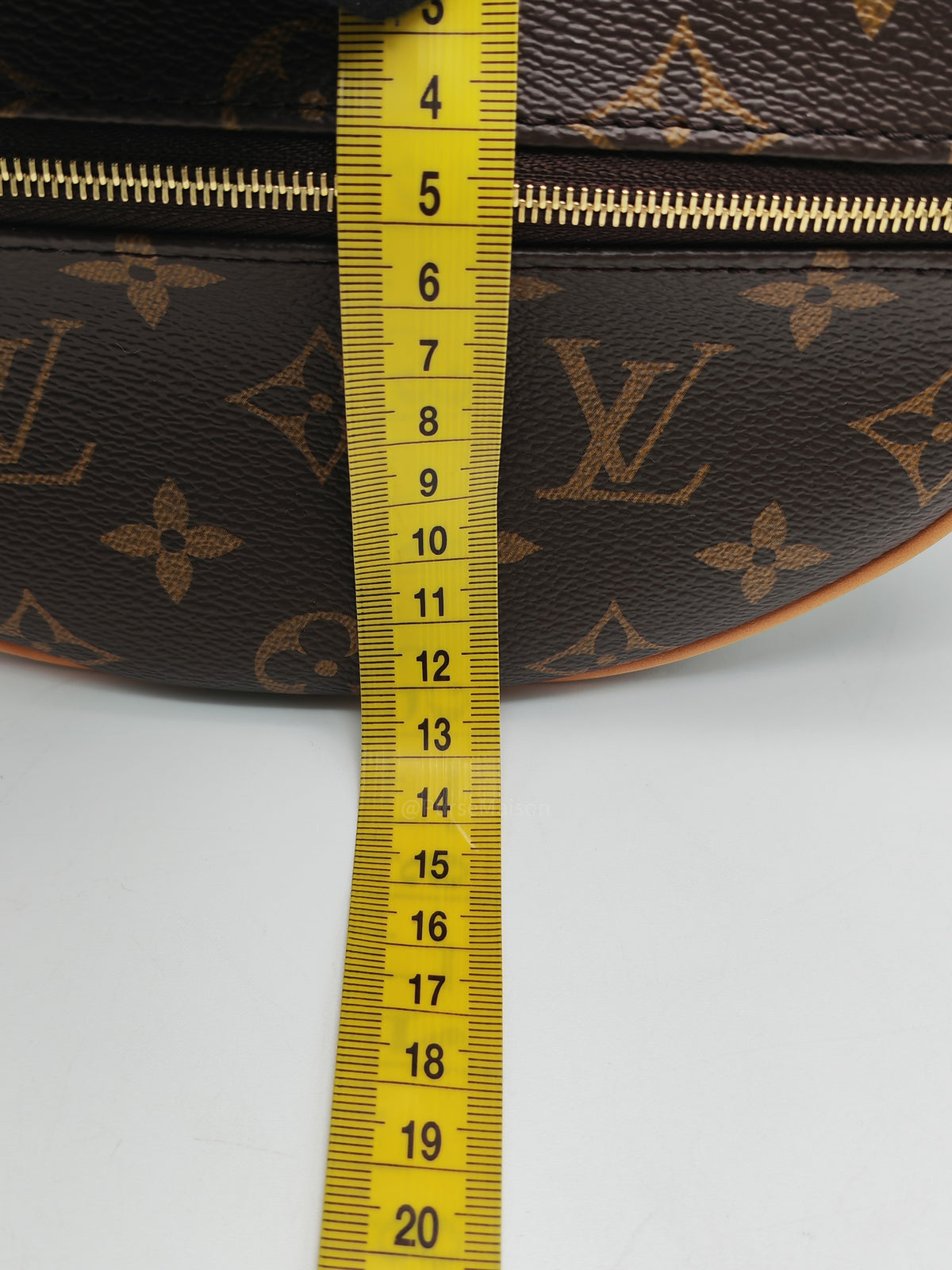 Louis Vuitton Loop Hand Bag in Monogram Canvas and Gold Hardware Microchip | Purse Maison Luxury Bags Shop