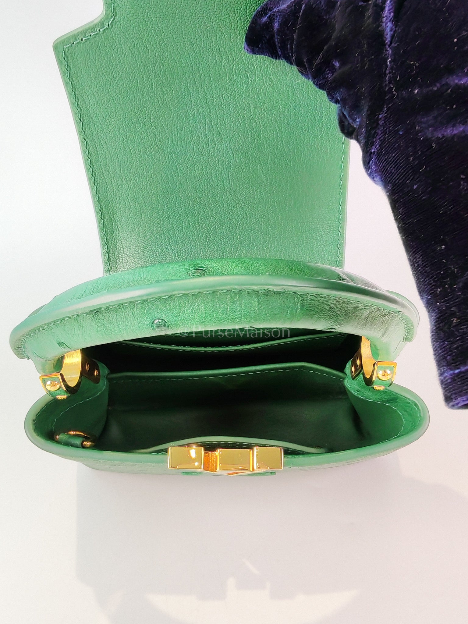 Mini Capuccines in Green Ostrich & Goat Leather Lining (Microchip) | Purse Maison Luxury Bags Shop