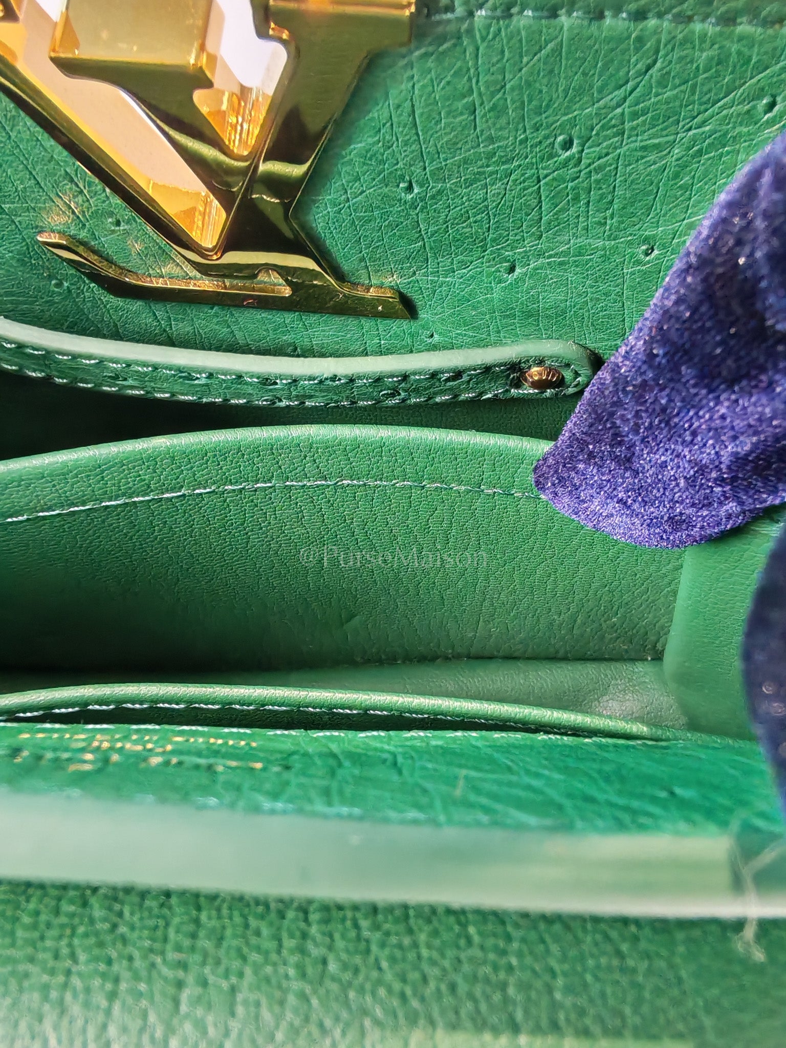 Mini Capuccines in Green Ostrich & Goat Leather Lining (Microchip) | Purse Maison Luxury Bags Shop