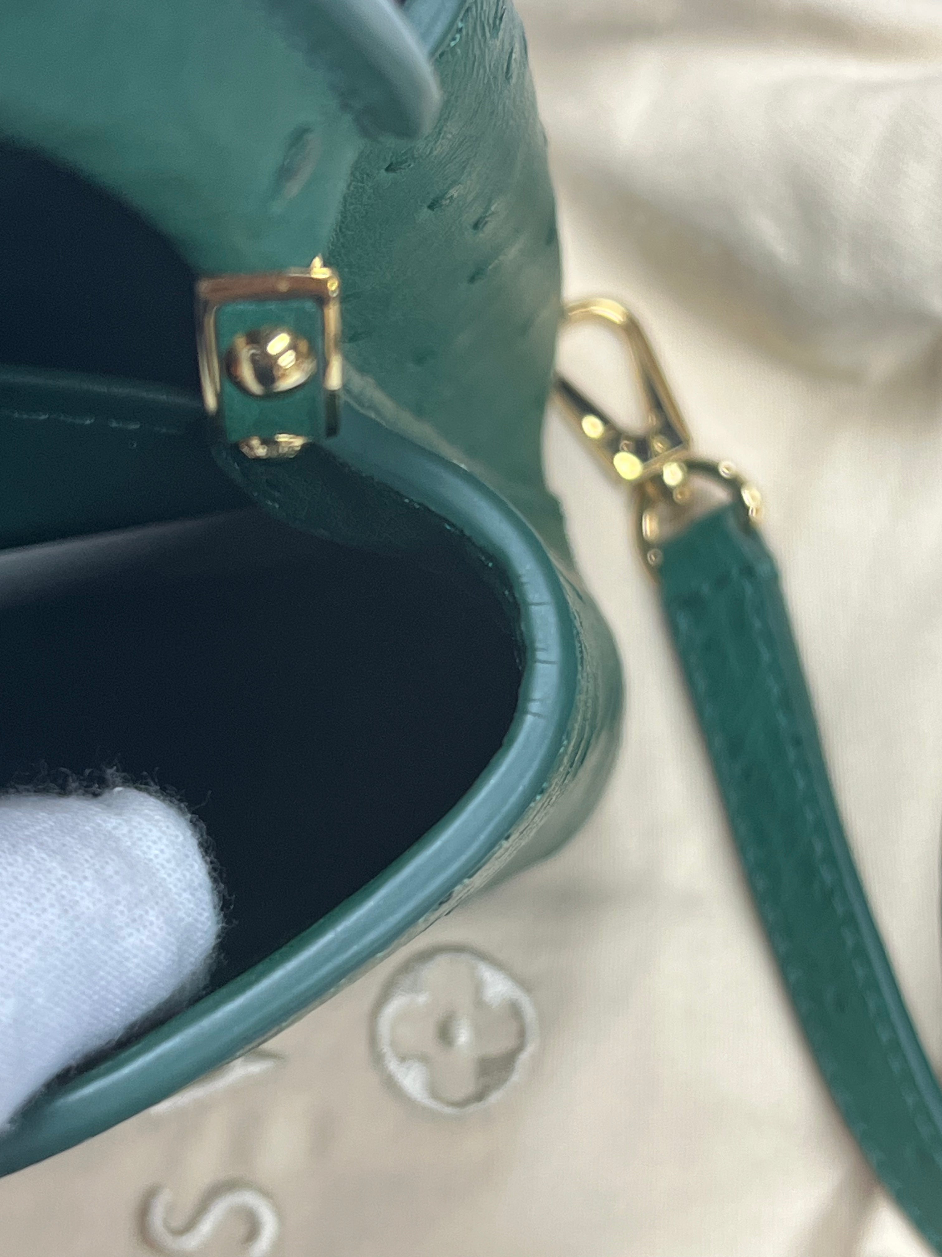 Mini Capuccines in Green Ostrich & Goat Leather Lining (Microchip) | Purse Maison Luxury Bags Shop