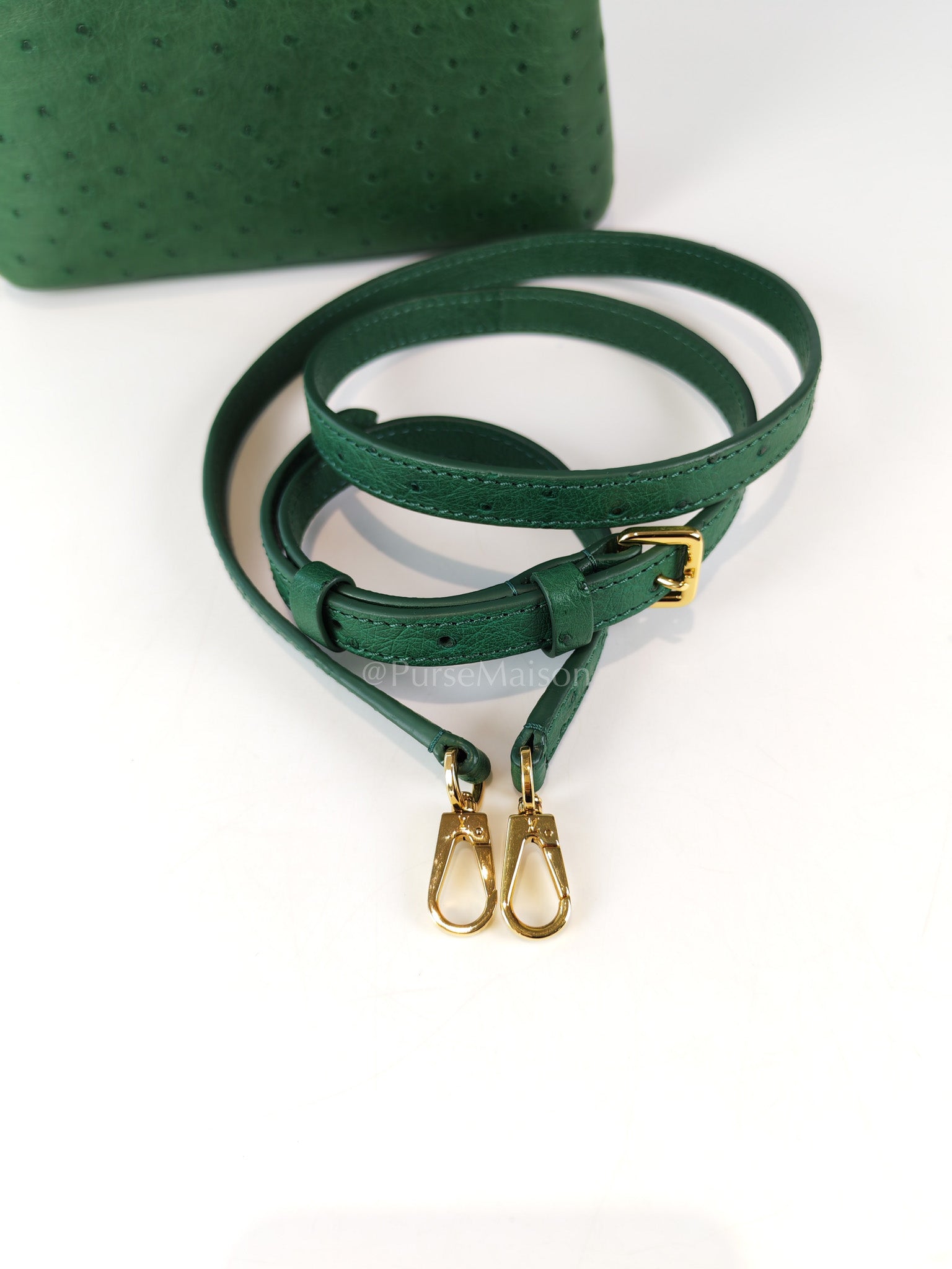 Mini Capuccines in Green Ostrich & Goat Leather Lining (Microchip) | Purse Maison Luxury Bags Shop