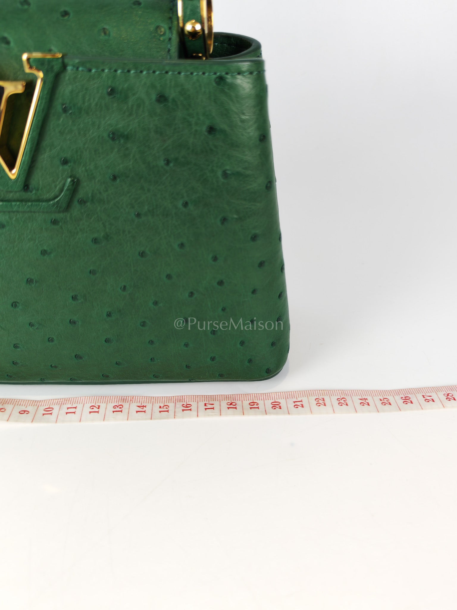 Mini Capuccines in Green Ostrich & Goat Leather Lining (Microchip) | Purse Maison Luxury Bags Shop