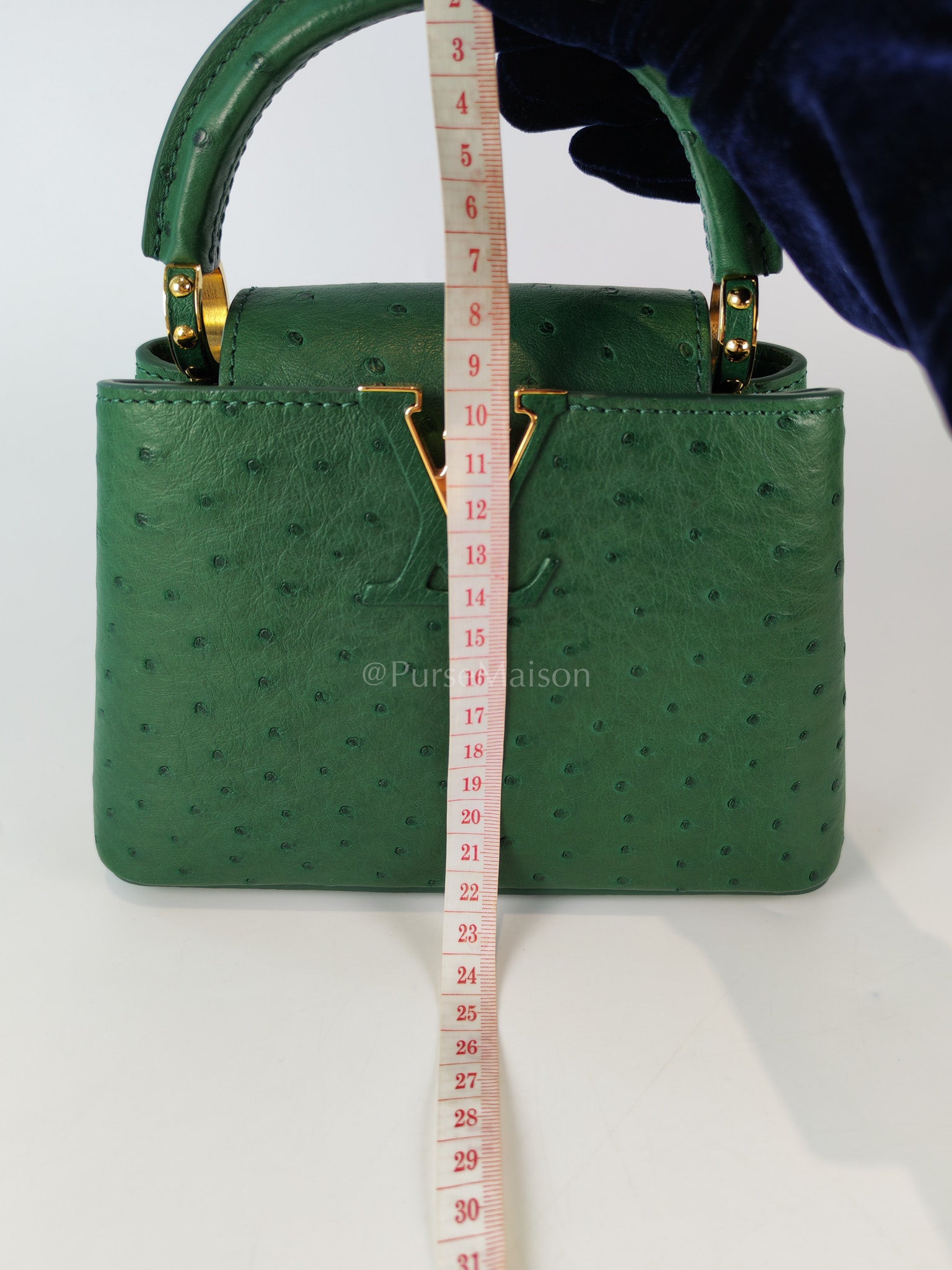 Mini Capuccines in Green Ostrich & Goat Leather Lining (Microchip) | Purse Maison Luxury Bags Shop