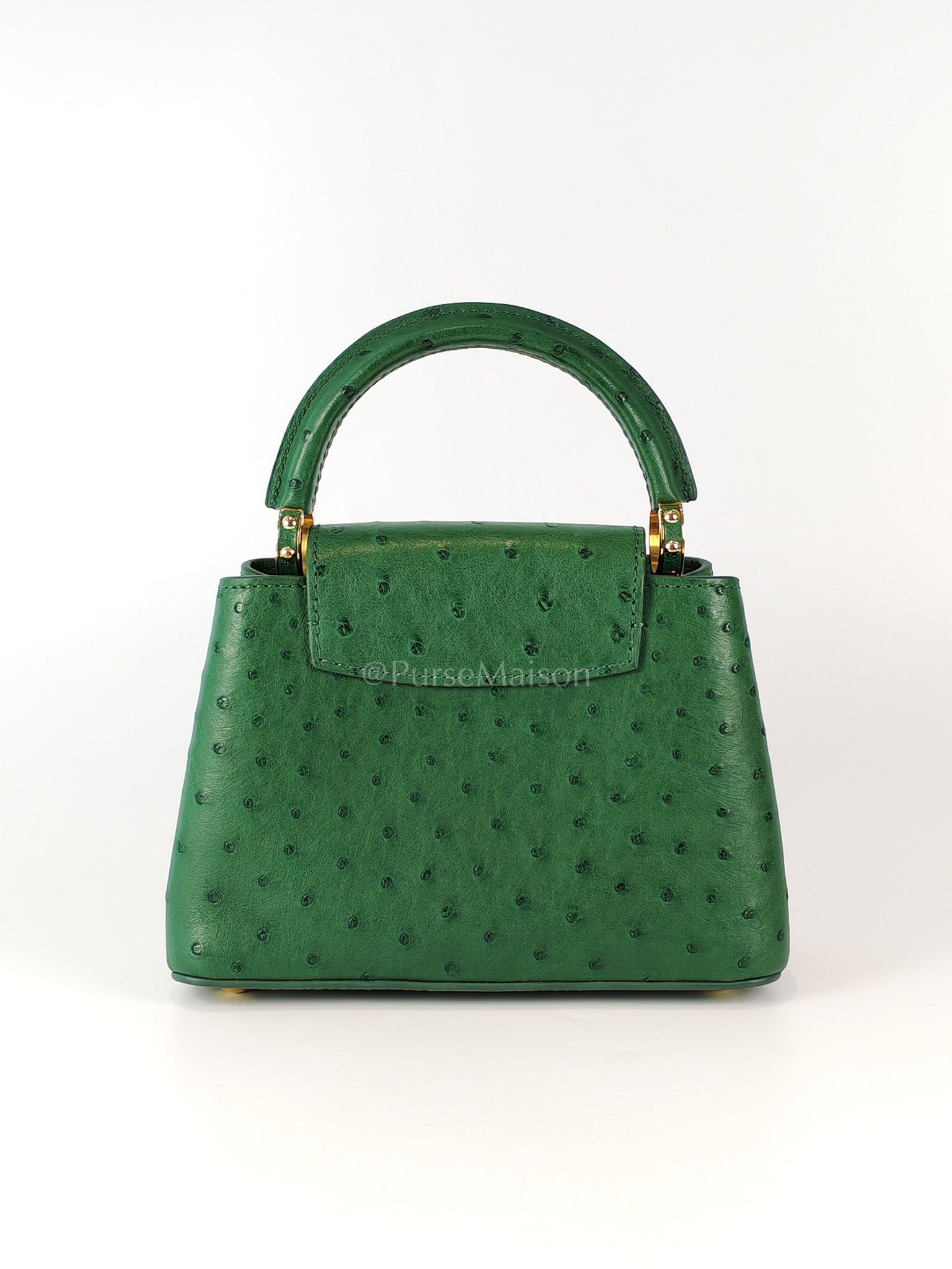 Mini Capuccines in Green Ostrich & Goat Leather Lining (Microchip) | Purse Maison Luxury Bags Shop