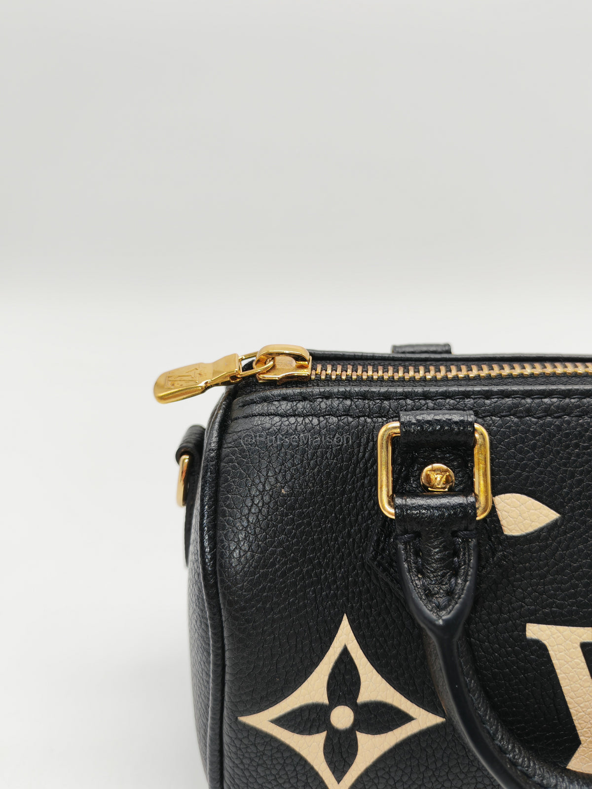 Louis Vuitton Speedy Nano in Bicolor Monogram Empriente Leather (Microchip) | Purse Maison Luxury Bags Shop