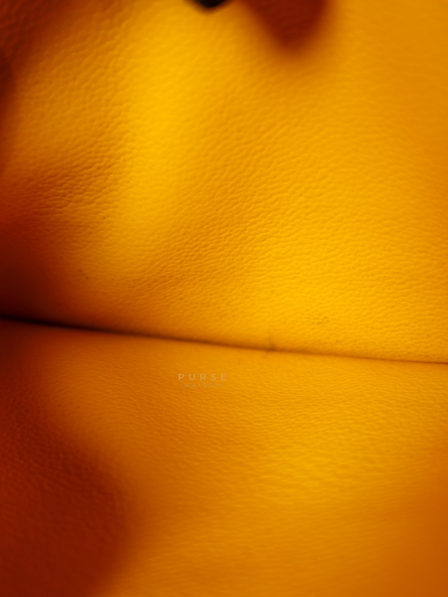 Louise Insert Zippy Wallet in Orange Goyardine Canvas | Purse Maison Luxury Bags Shop