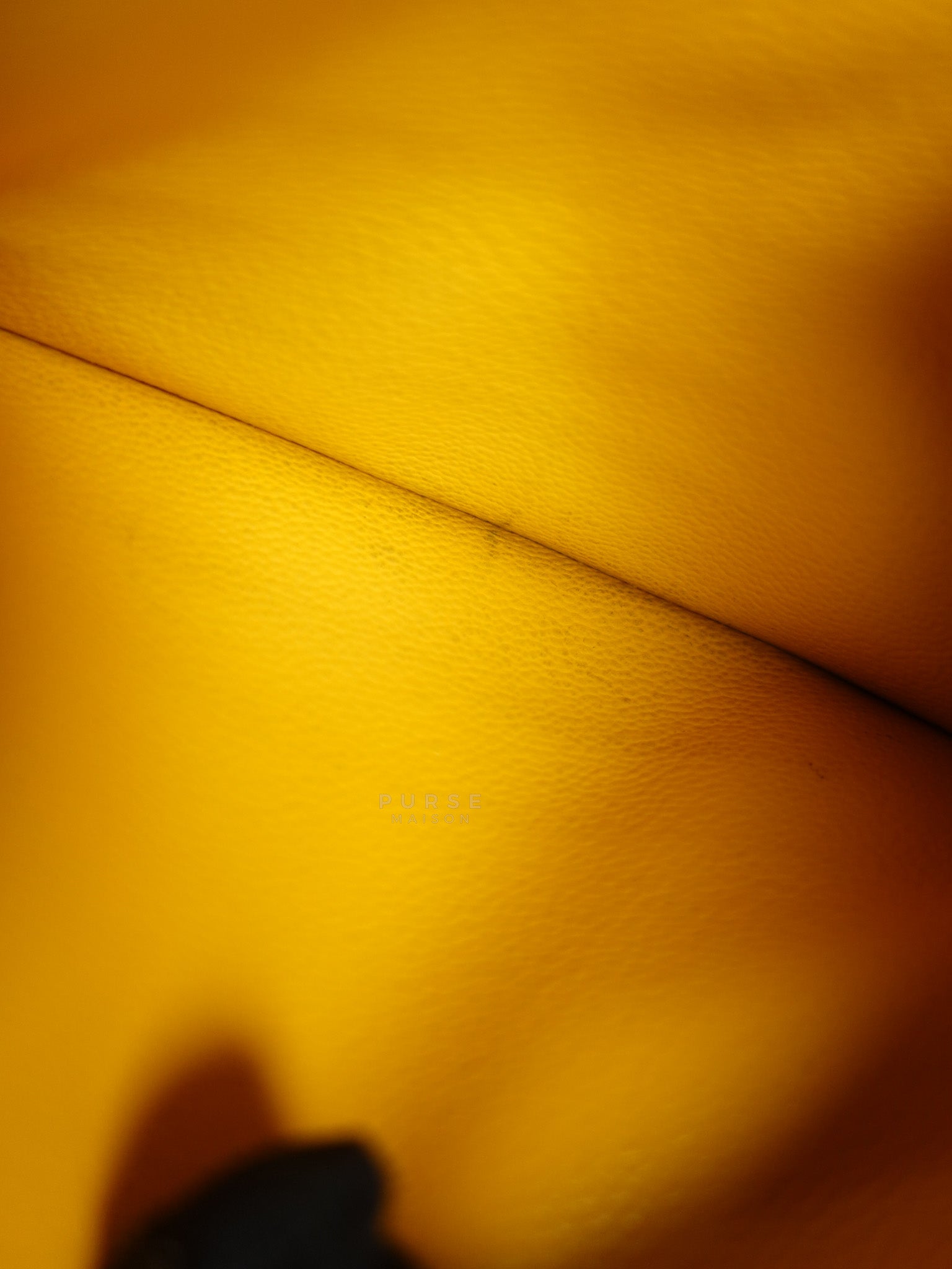 Louise Insert Zippy Wallet in Orange Goyardine Canvas | Purse Maison Luxury Bags Shop