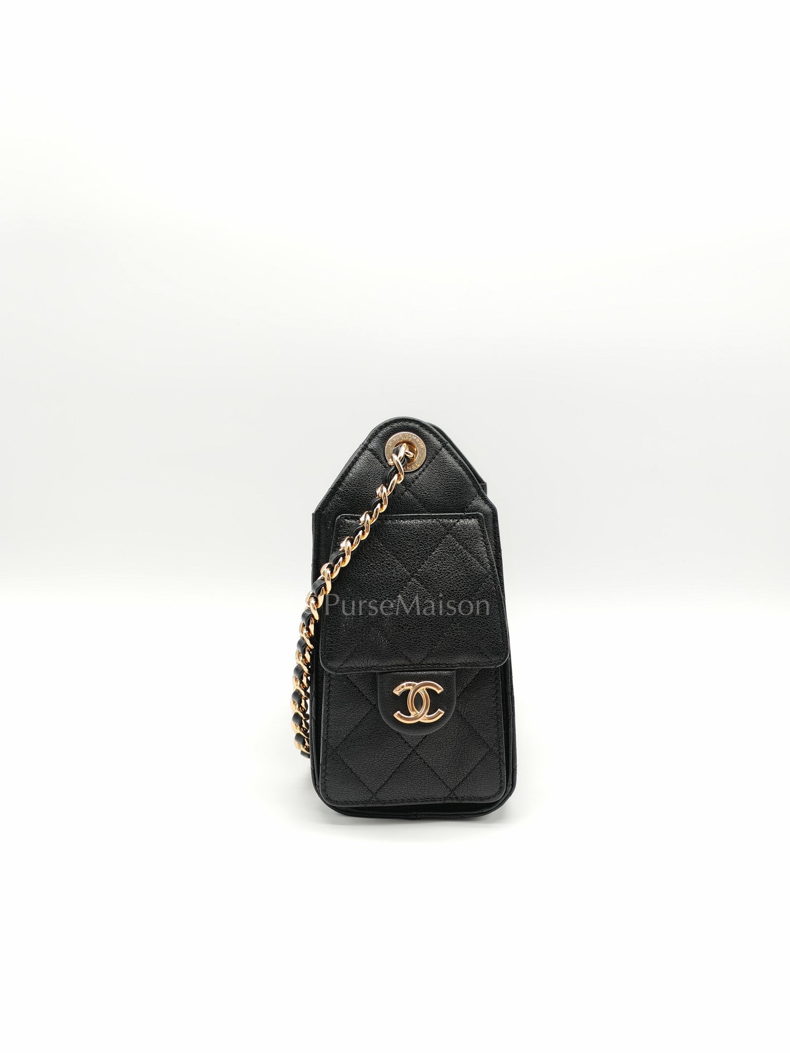 25 Mini in Black Grained Calfskin Leather & Gold Hardware Microchip