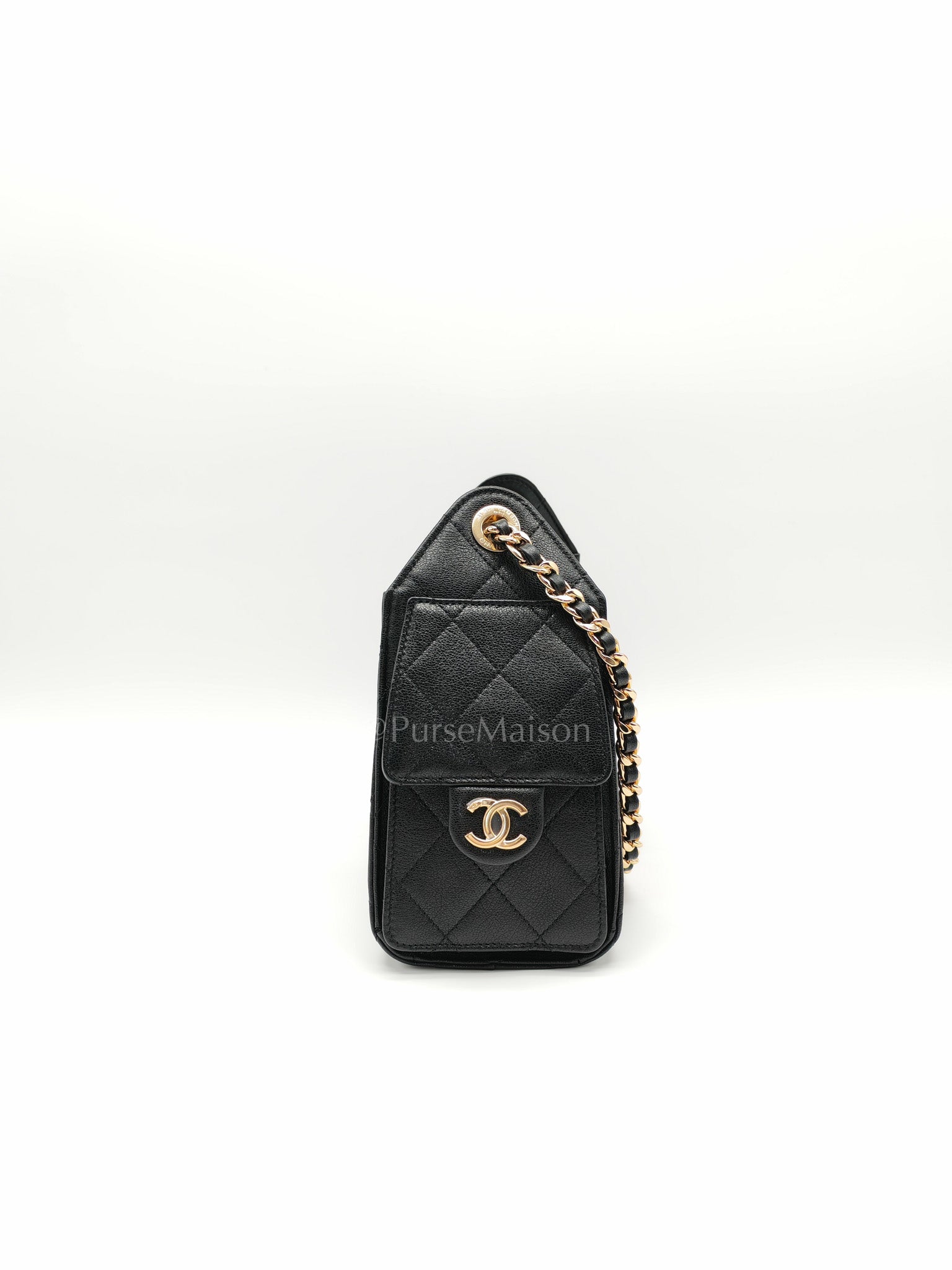 25 Mini in Black Grained Calfskin Leather & Gold Hardware Microchip