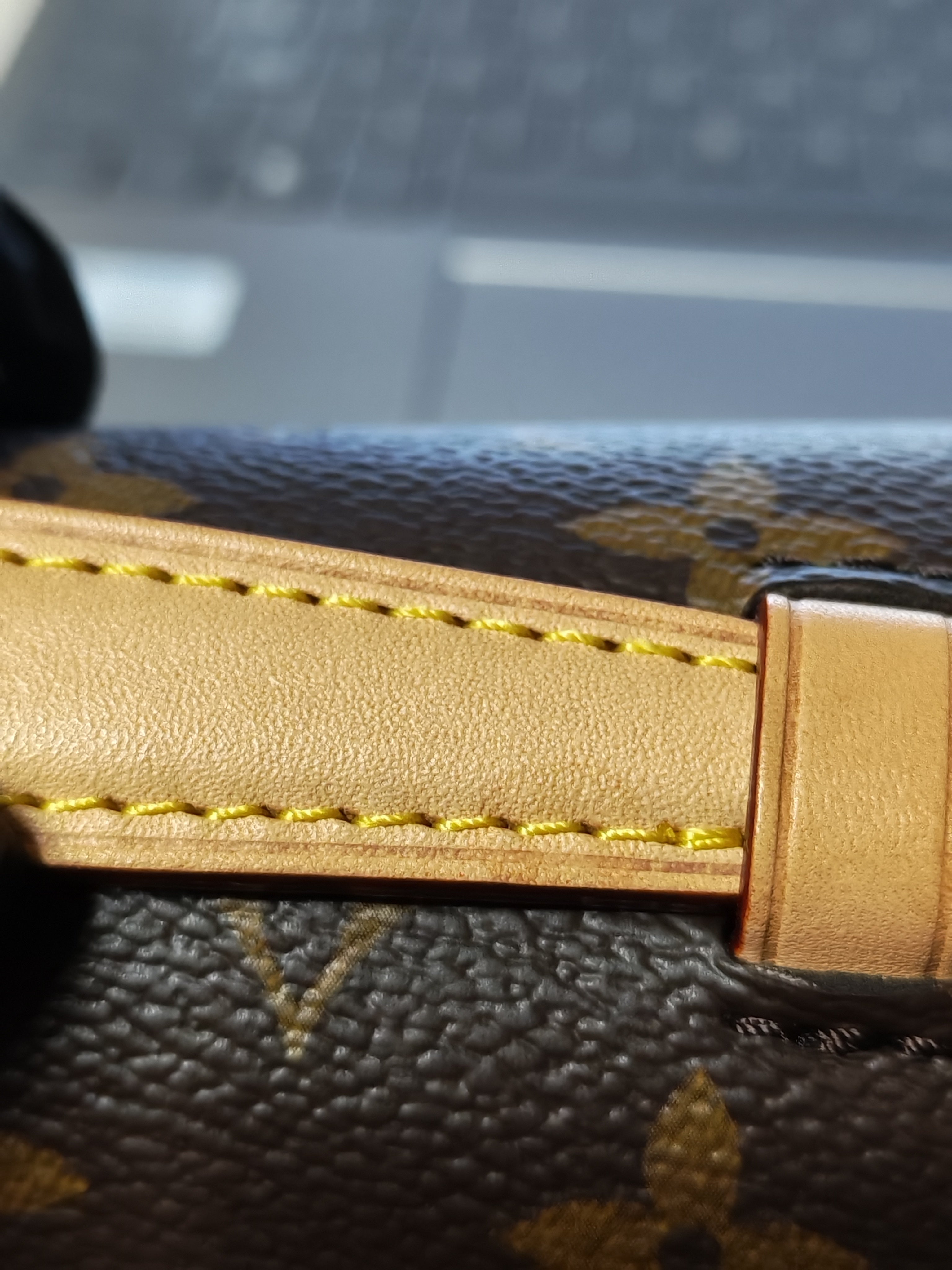 Metis East West in Monogram Canvas (Microchip) | Purse Maison Luxury Bags Shop