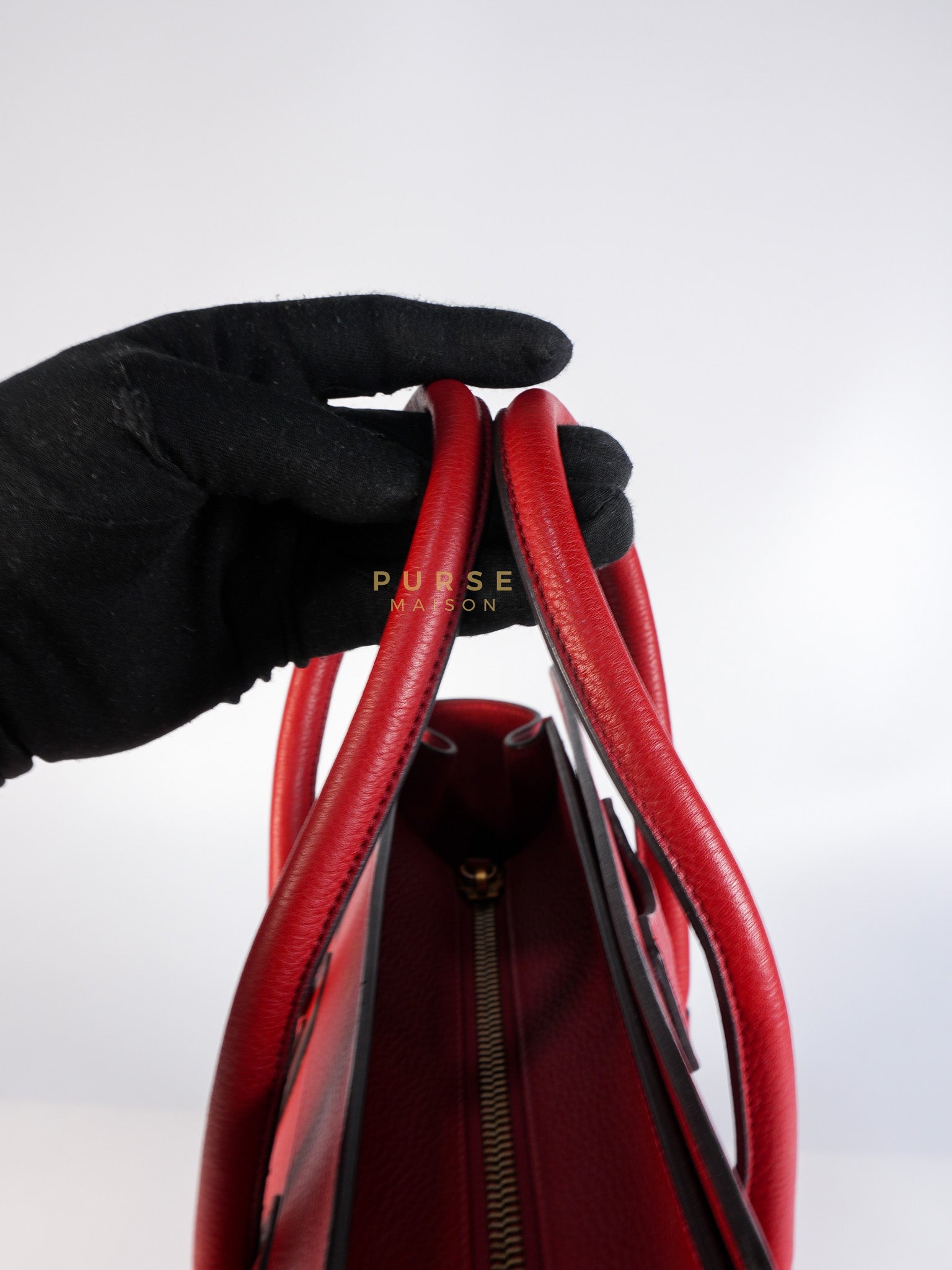 Micro Luggage Tote Bag in Red Calfskin Leather & Aged Gold Hardware | Purse Maison Luxury Bags Shop