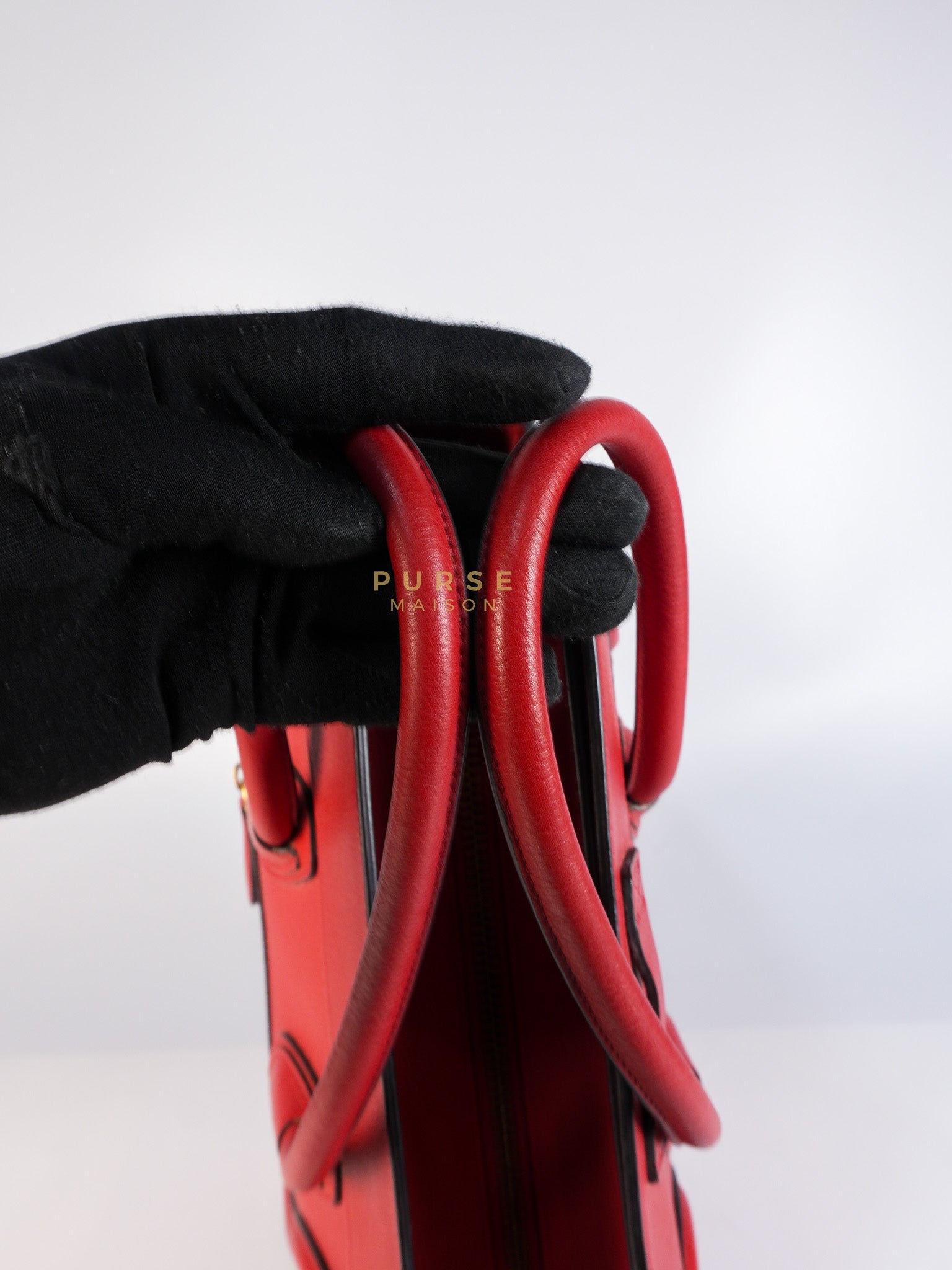 Micro Luggage Tote Bag in Red Calfskin Leather & Aged Gold Hardware | Purse Maison Luxury Bags Shop