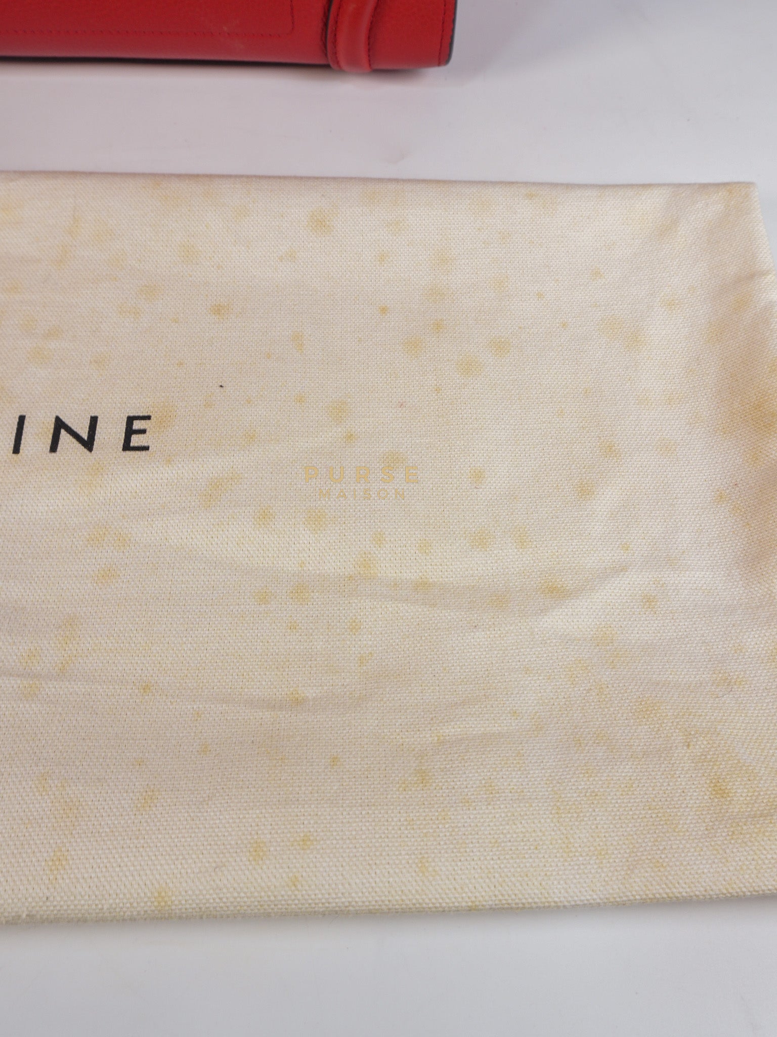 Micro Luggage Tote Bag in Red Calfskin Leather & Aged Gold Hardware | Purse Maison Luxury Bags Shop