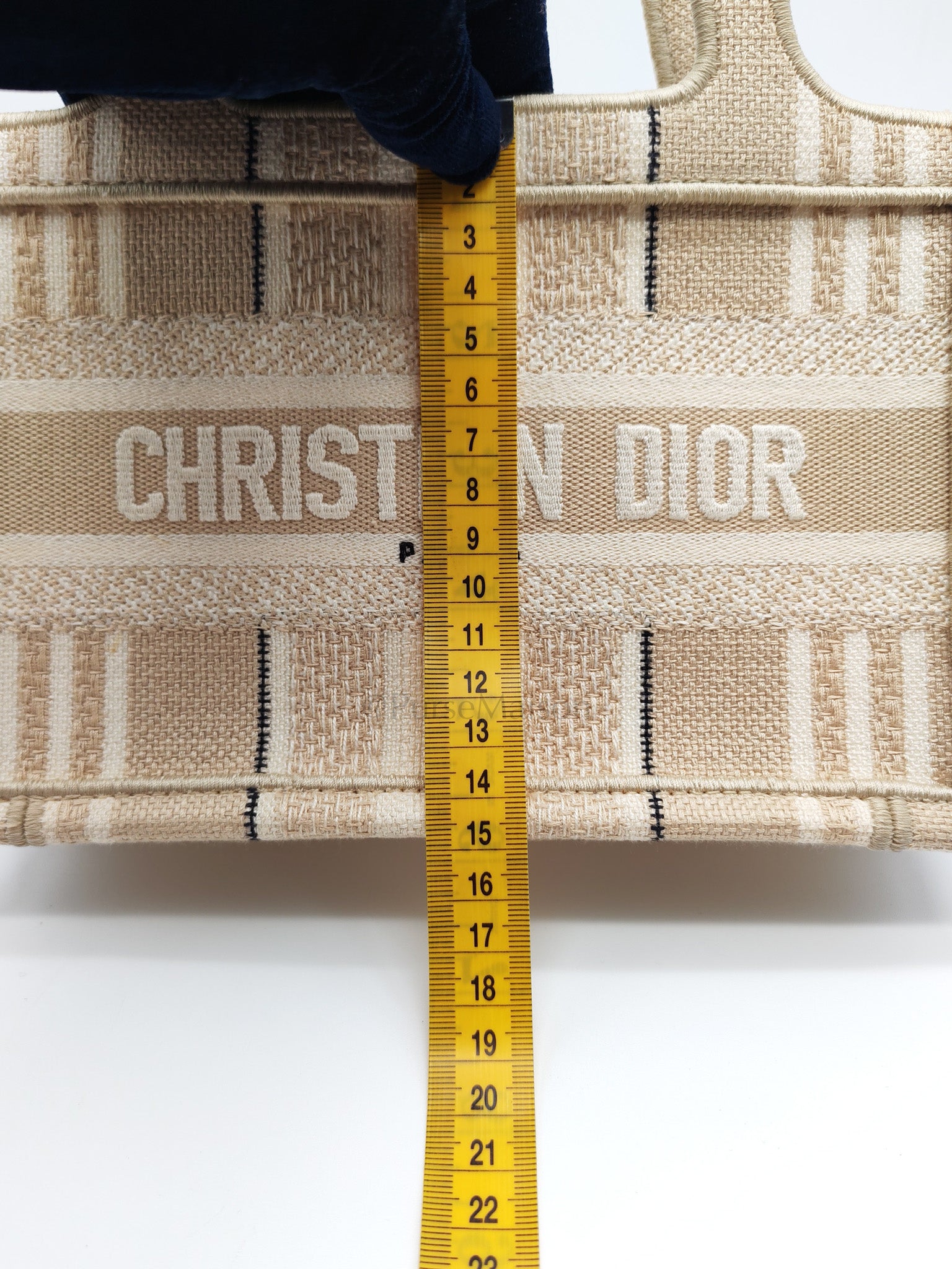 Mini Book Tote in Beige Embroidered Canvas | Purse Maison Luxury Bags Shop