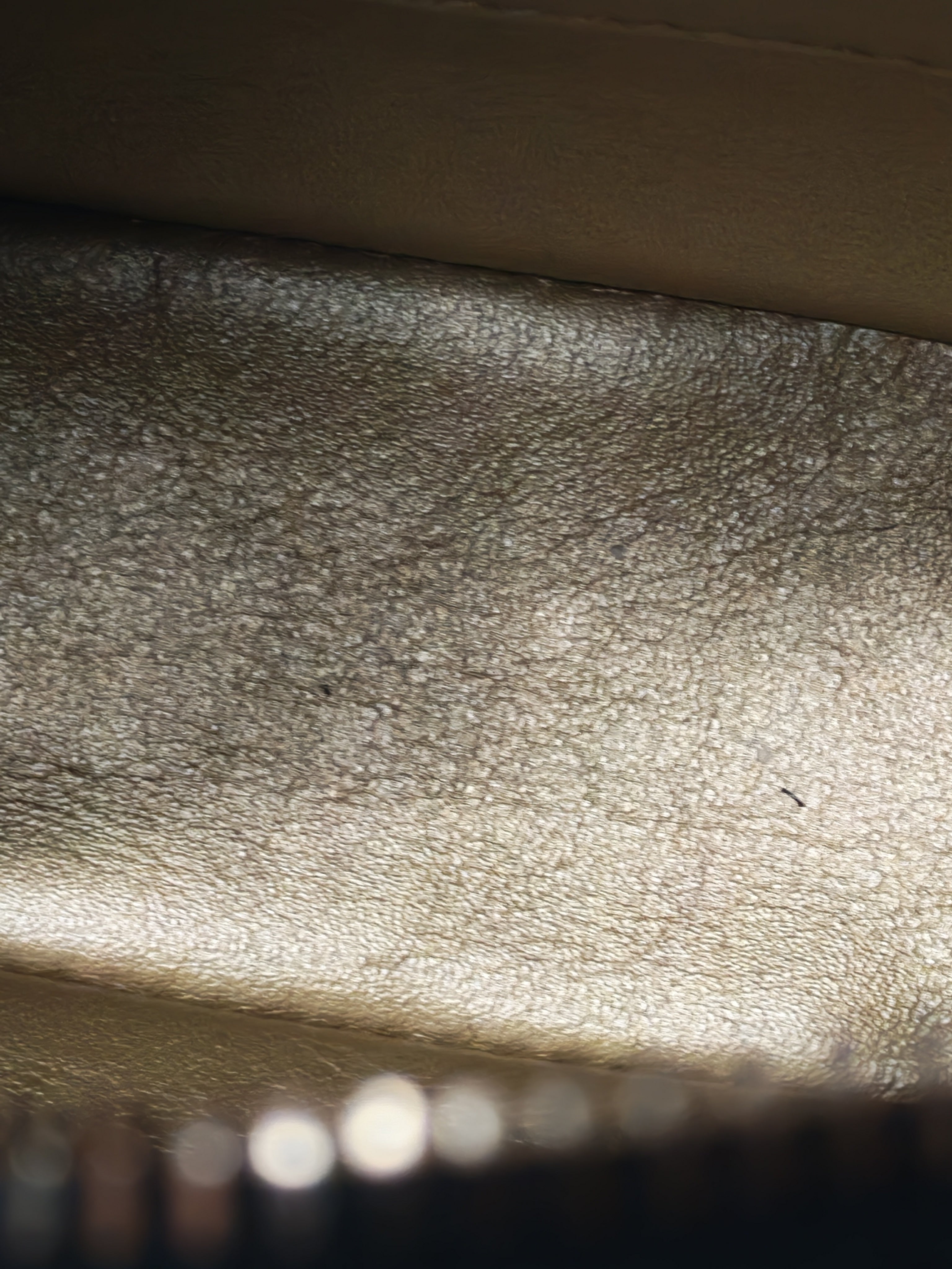 Mini Camera Bag Pearl Crush in Black Lambskin Leather and Aged Gold Hardware Microchip | Purse Maison Luxury Bags Shop