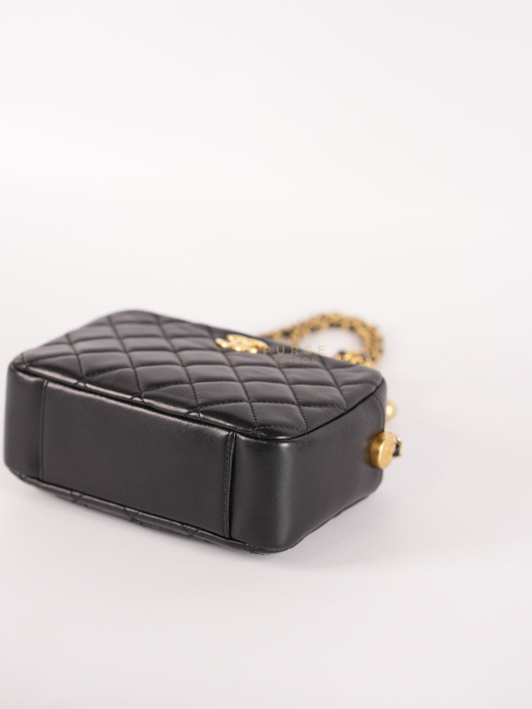 Mini Camera Bag Pearl Crush in Black Lambskin Leather and Aged Gold Hardware Microchip | Purse Maison Luxury Bags Shop