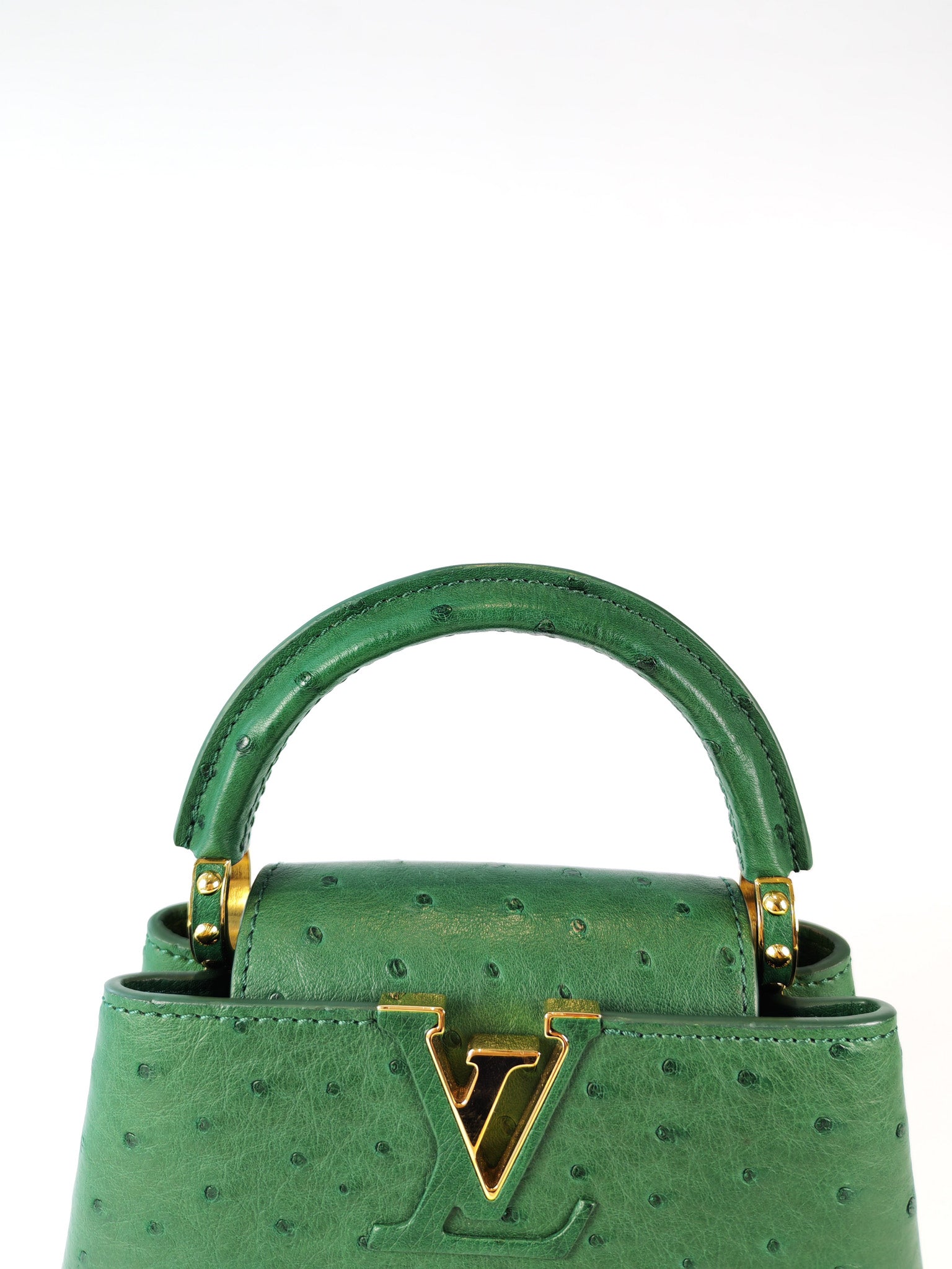 Mini Capuccines in Green Ostrich & Goat Leather Lining (Microchip) | Purse Maison Luxury Bags Shop