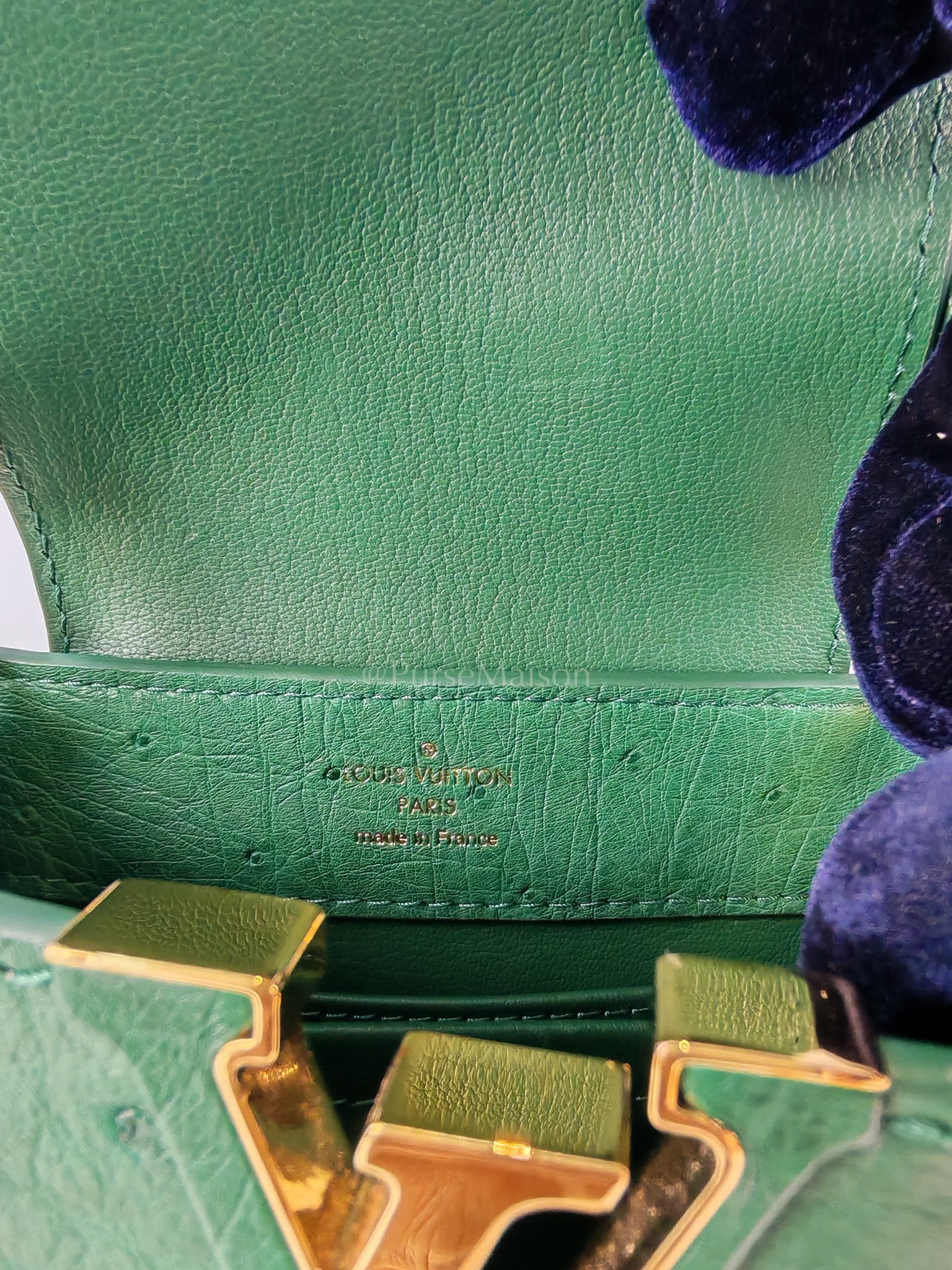 Mini Capuccines in Green Ostrich & Goat Leather Lining (Microchip) | Purse Maison Luxury Bags Shop