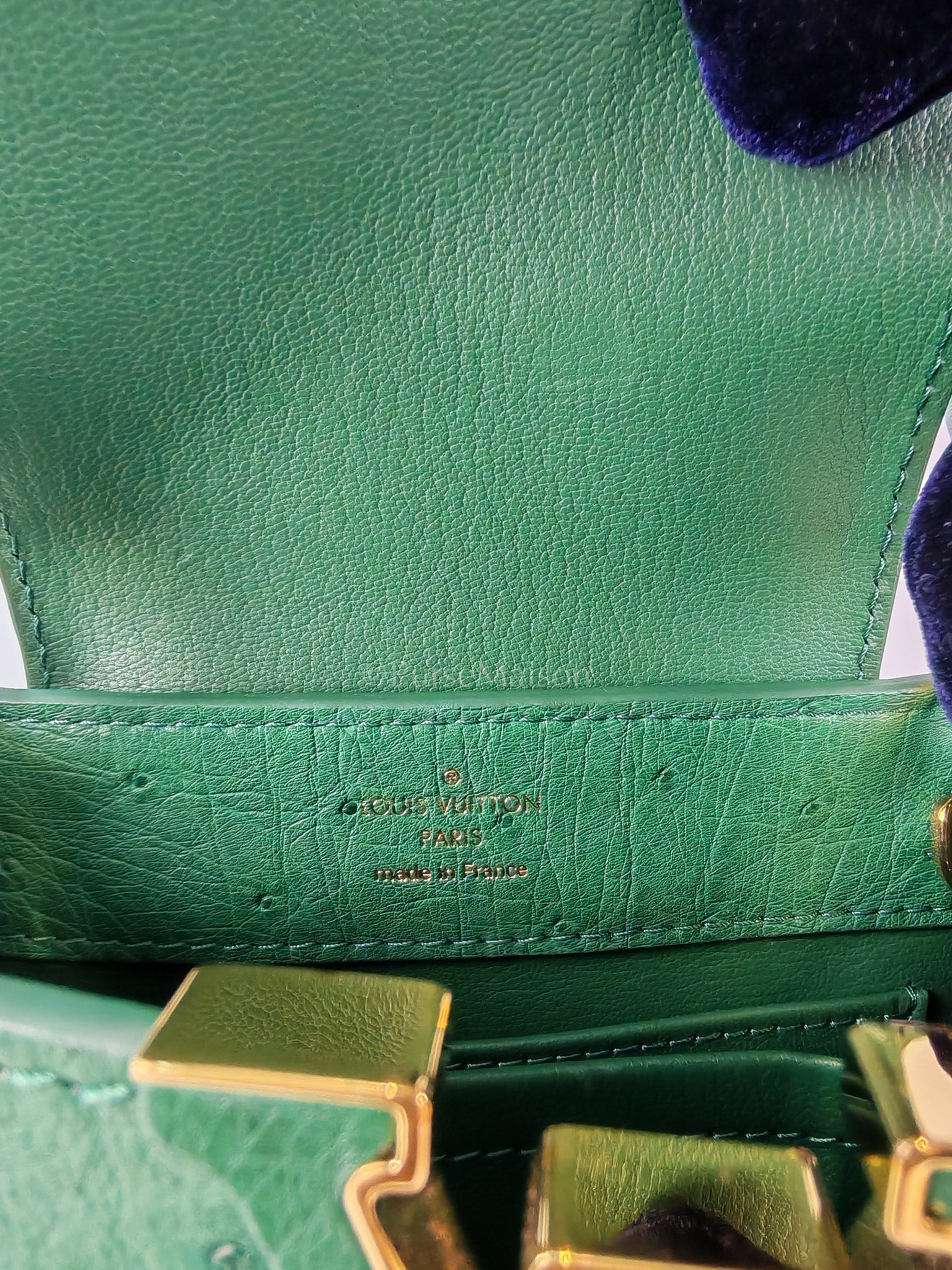 Mini Capuccines in Green Ostrich & Goat Leather Lining (Microchip) | Purse Maison Luxury Bags Shop