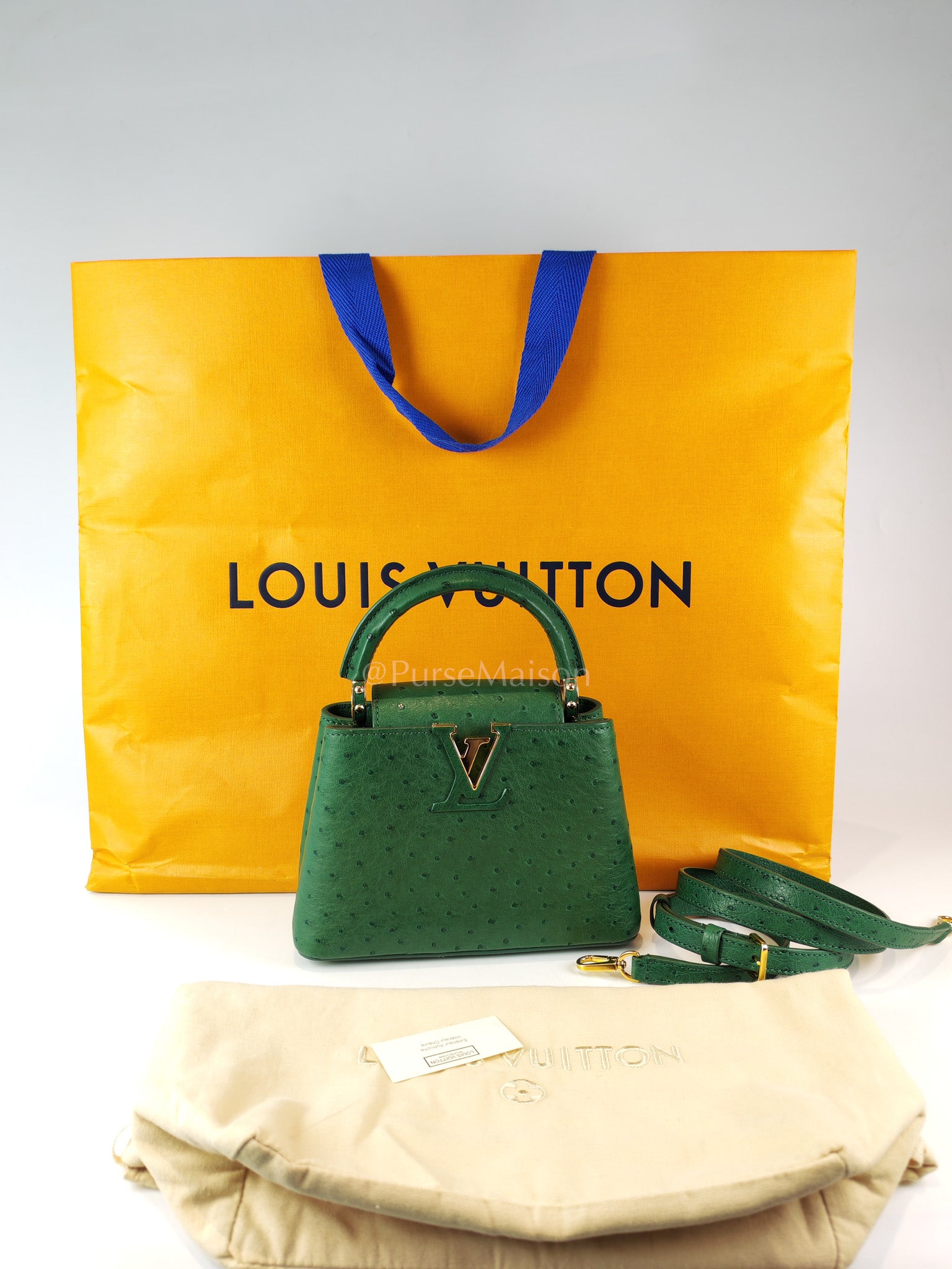 Mini Capuccines in Green Ostrich & Goat Leather Lining (Microchip) | Purse Maison Luxury Bags Shop
