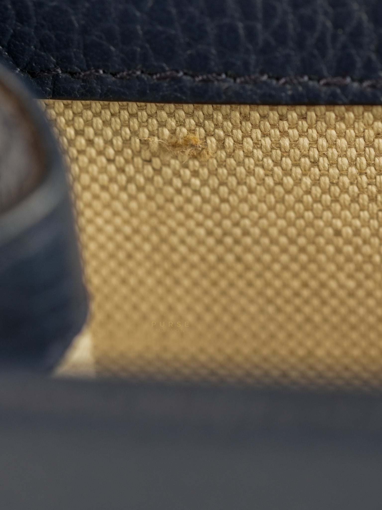 Mini Dionysus Dollar Crystal in Navy Blue Calfskin Leather | Purse Maison Luxury Bags Shop