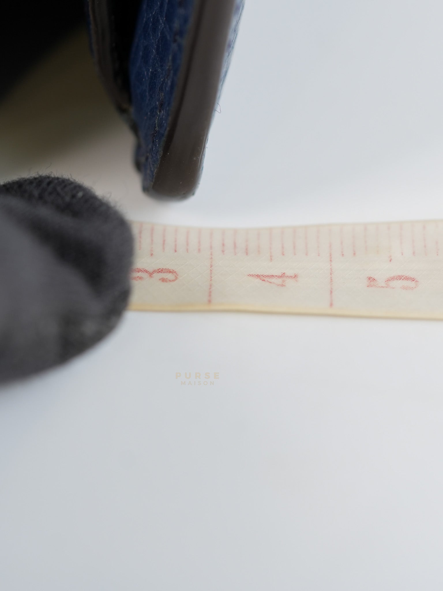 Mini Dionysus Dollar Crystal in Navy Blue Calfskin Leather | Purse Maison Luxury Bags Shop