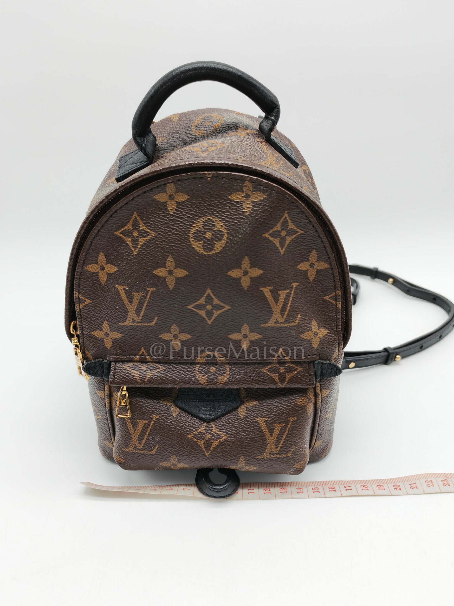 Mini Palm Spring Backpack in Monogram Canvas & Gold Hardware (Datecode: CA1148) | Purse Maison Luxury Bags Shop