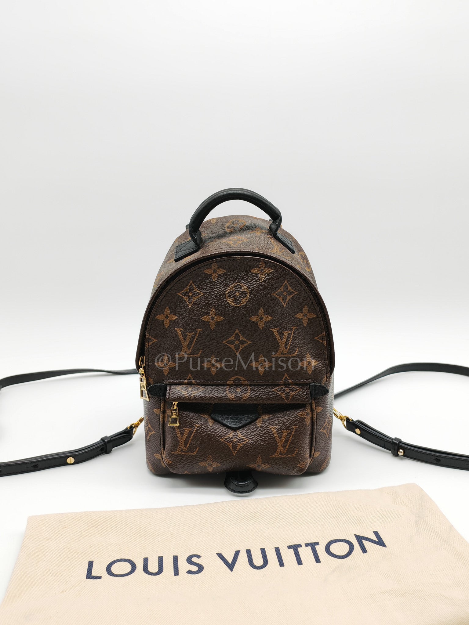 Mini Palm Spring Backpack in Monogram Canvas & Gold Hardware (Datecode: CA1148) | Purse Maison Luxury Bags Shop