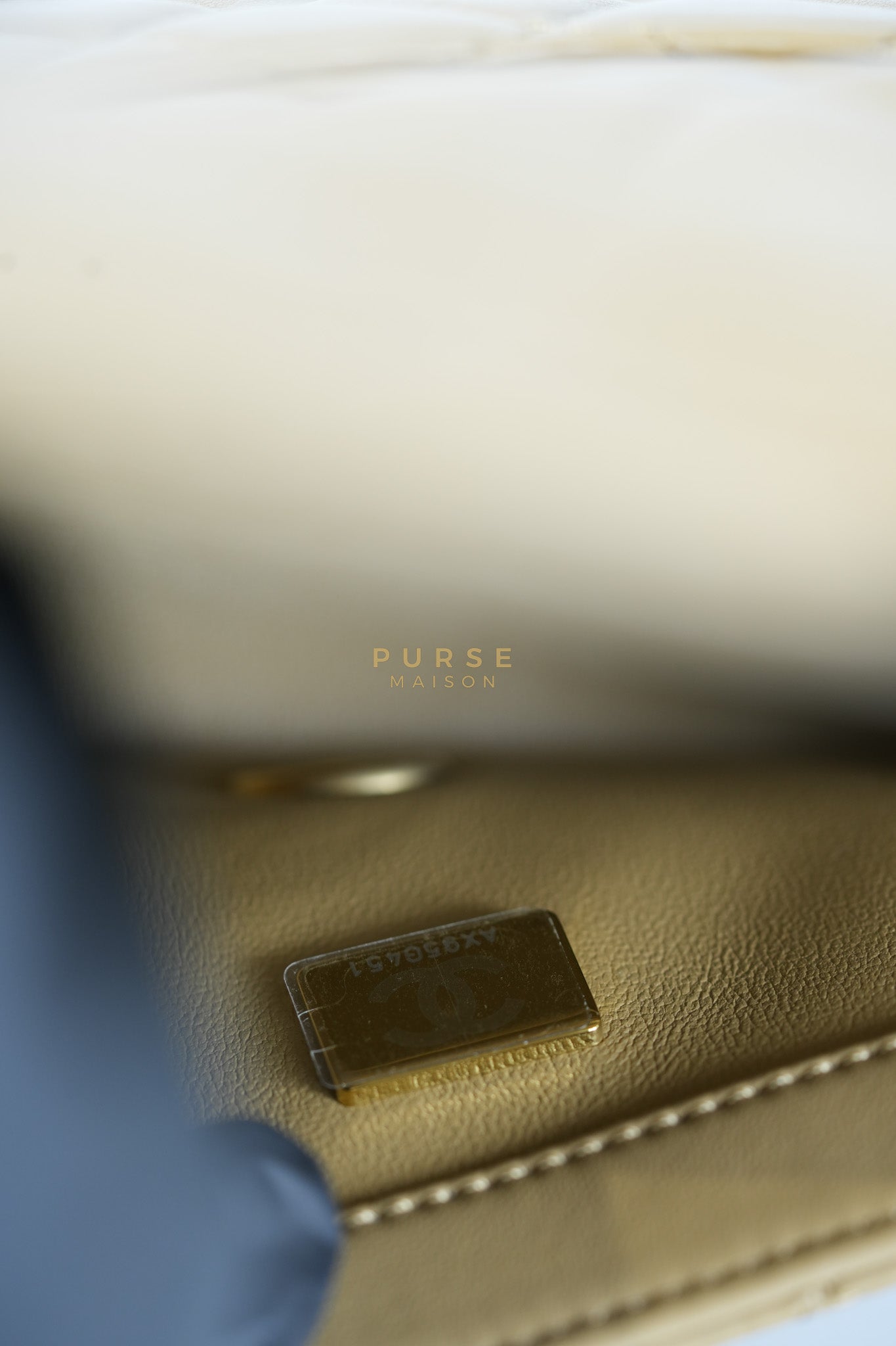 Mini Rectangle Flap Bag in Pearl Crush Beige Fonce Lambskin Leather & Gold Hardware Microchip | Purse Maison Luxury Bags Shop