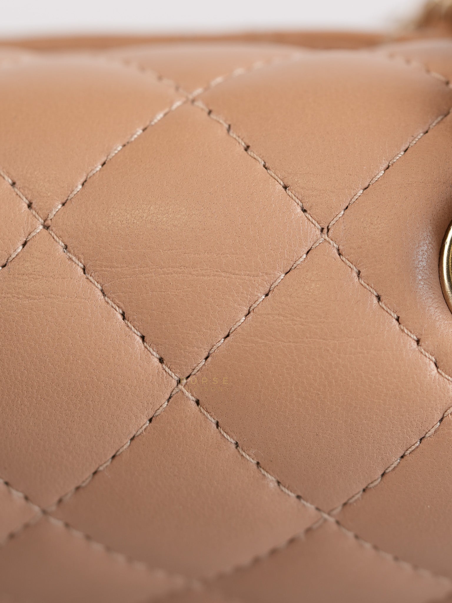 Mini Rectangular Flap Bag in Beige Lambskin Leather & Light Gold Hardware Microchip | Purse Maison Luxury Bags Shop