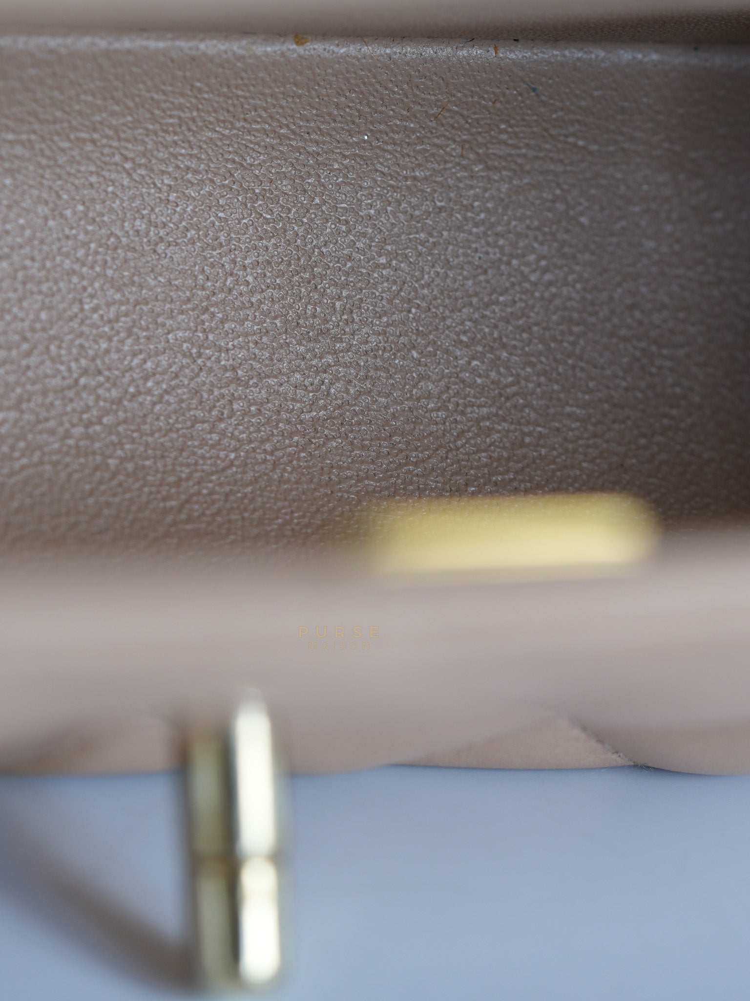 Mini Rectangular Flap Bag in Beige Lambskin Leather & Light Gold Hardware Microchip | Purse Maison Luxury Bags Shop