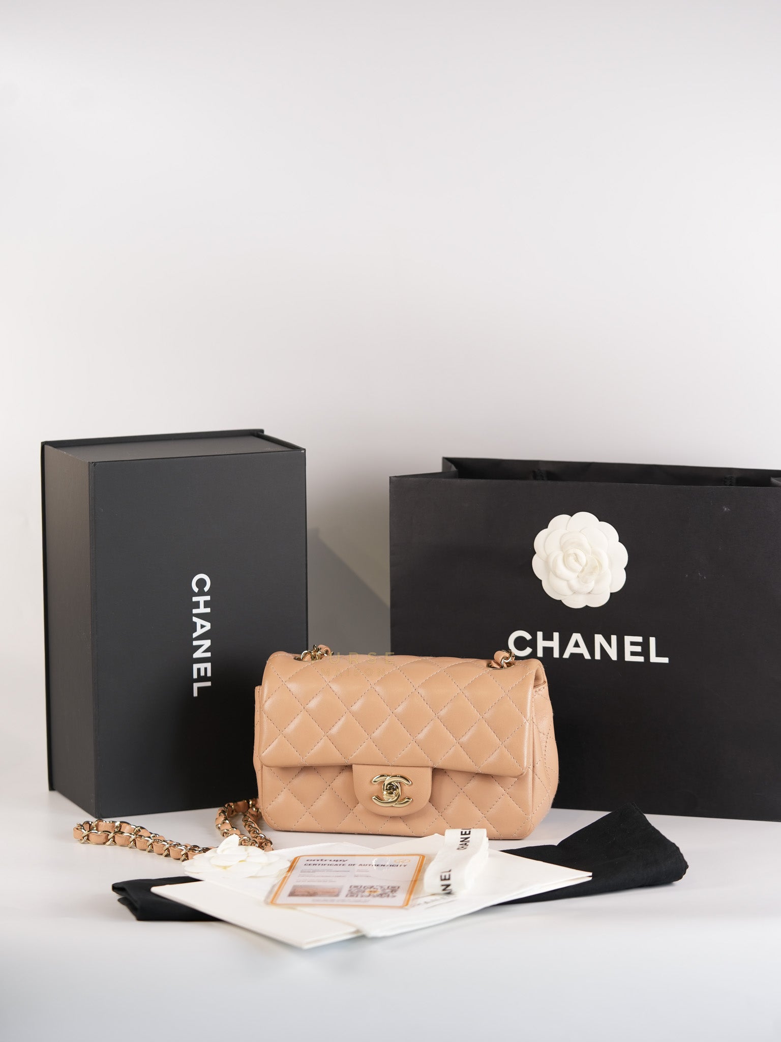 Mini Rectangular Flap Bag in Beige Lambskin Leather & Light Gold Hardware Microchip | Purse Maison Luxury Bags Shop