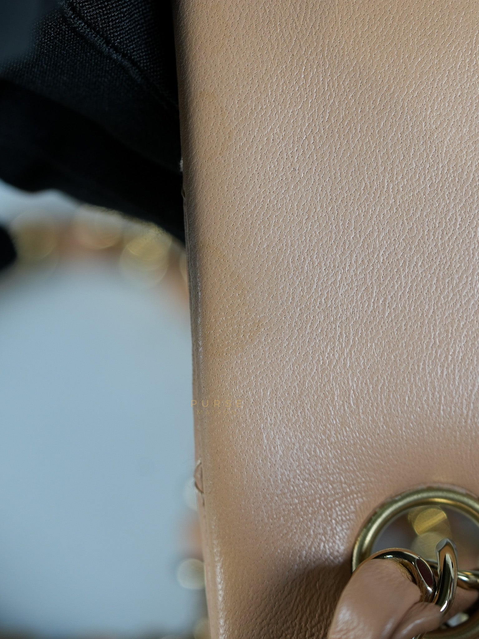 Mini Rectangular Flap Bag in Beige Lambskin Leather & Light Gold Hardware Microchip | Purse Maison Luxury Bags Shop