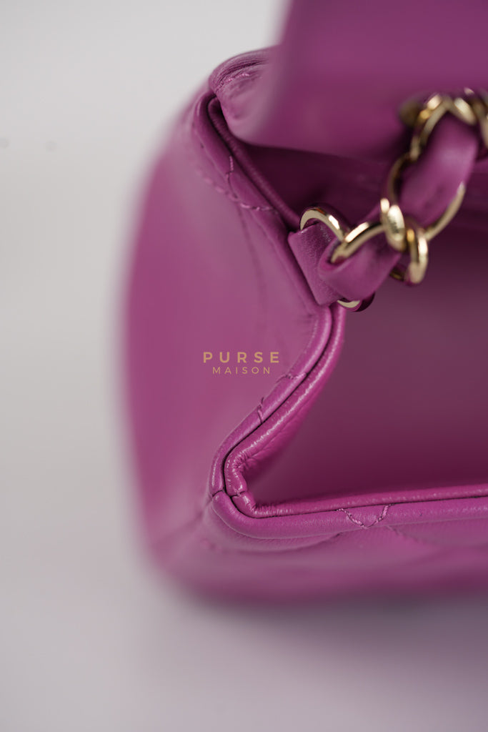 Mini Rectangular Shoulder Bag in Violet Lambskin Leather & Gold Hardware Series 30 | Purse Maison Luxury Bags Shop