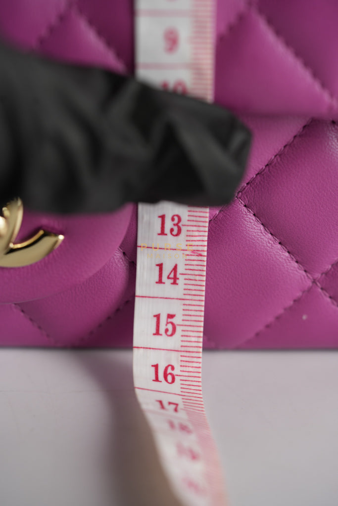 Mini Rectangular Shoulder Bag in Violet Lambskin Leather & Gold Hardware Series 30 | Purse Maison Luxury Bags Shop