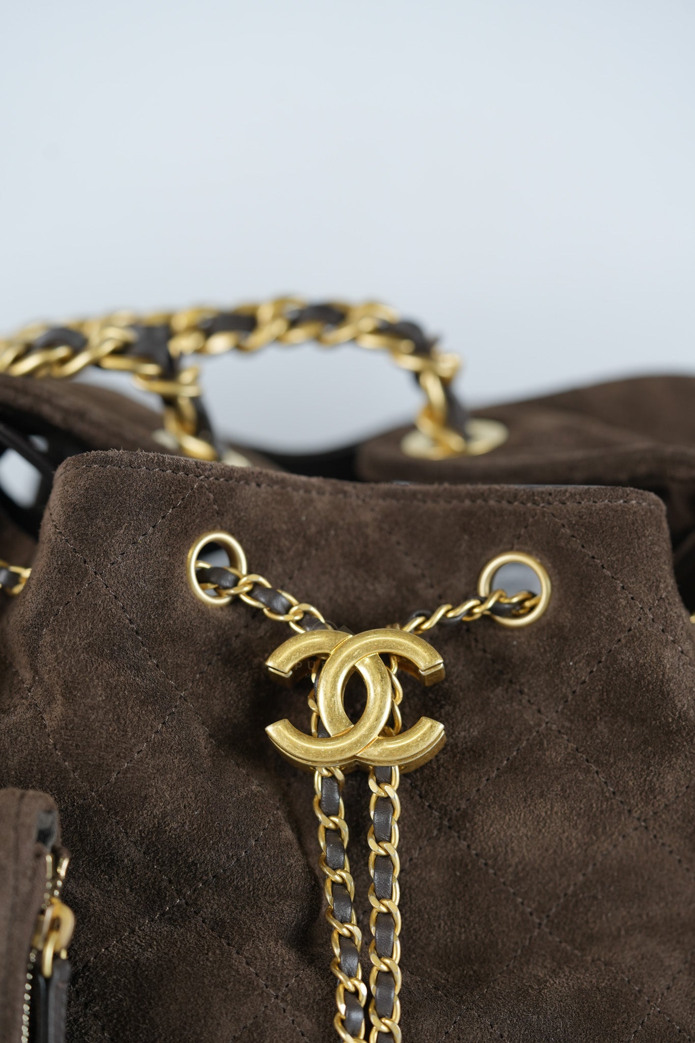 C25 Hobo Bag Medium in Brown Suede Calfskin Leather and Aged Gold Hardware (Microchip)