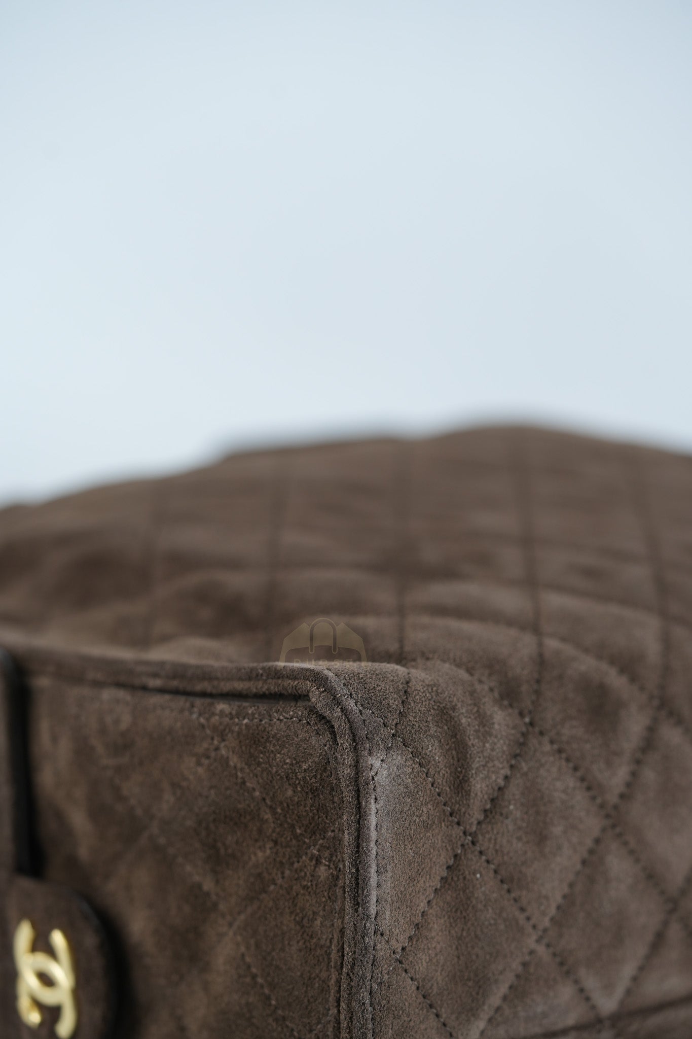 C25 Hobo Bag Medium in Brown Suede Calfskin Leather and Aged Gold Hardware (Microchip)