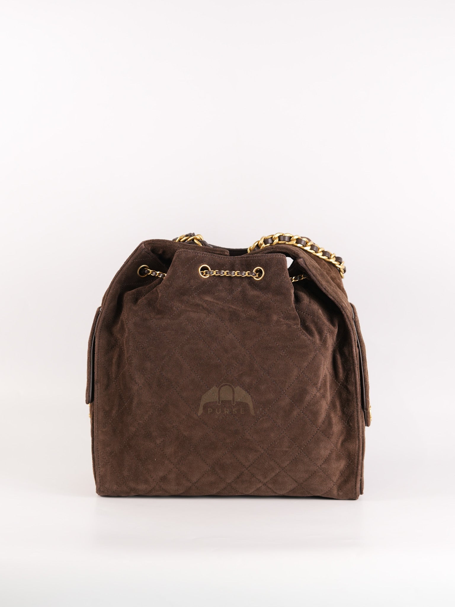 C25 Hobo Bag Medium in Brown Suede Calfskin Leather and Aged Gold Hardware (Microchip)