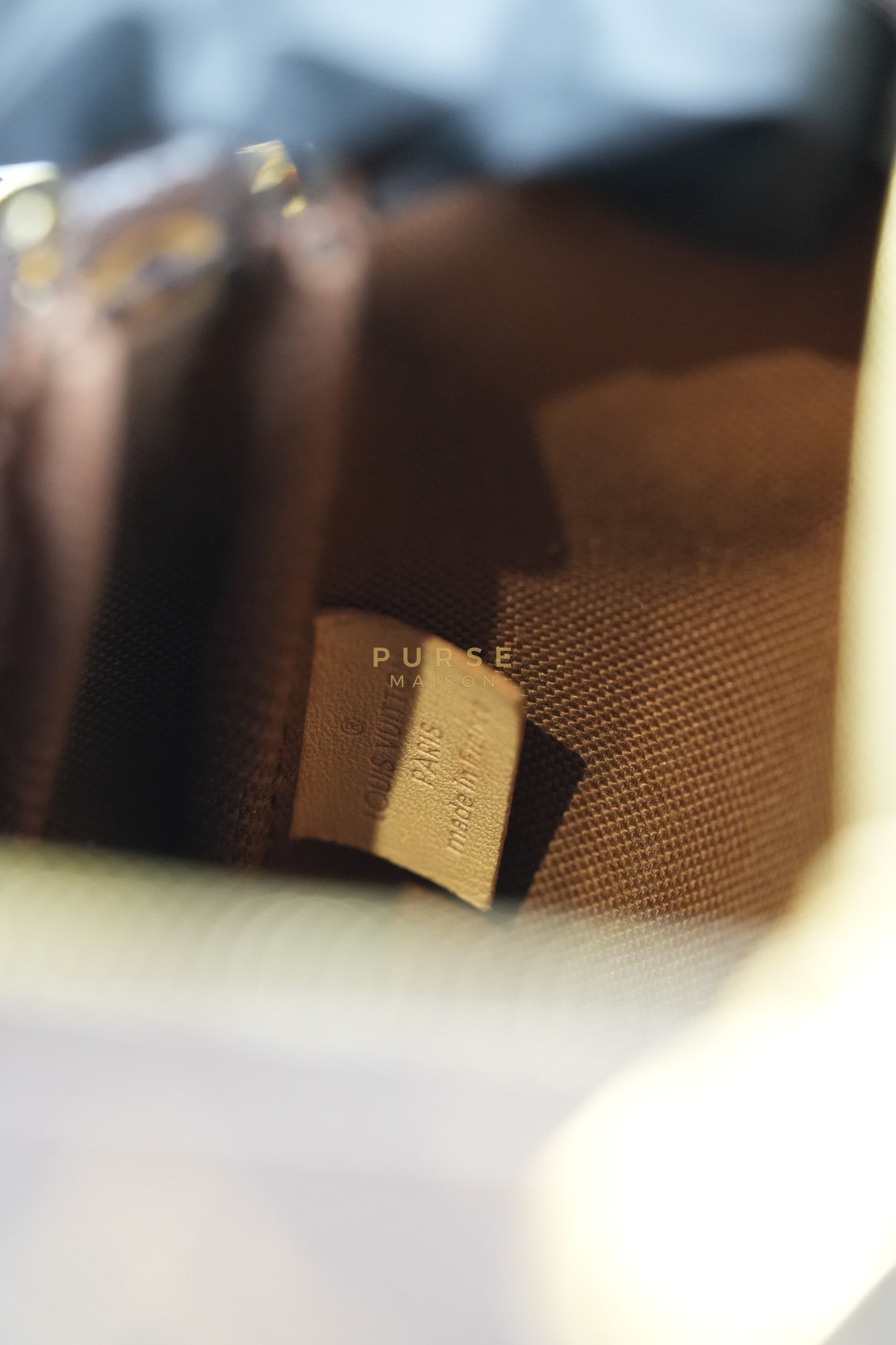 Multi Pochette Shoulder Bag in Monogram Canvas & Gold Hardware Microchip | Purse Maison Luxury Bags Shop