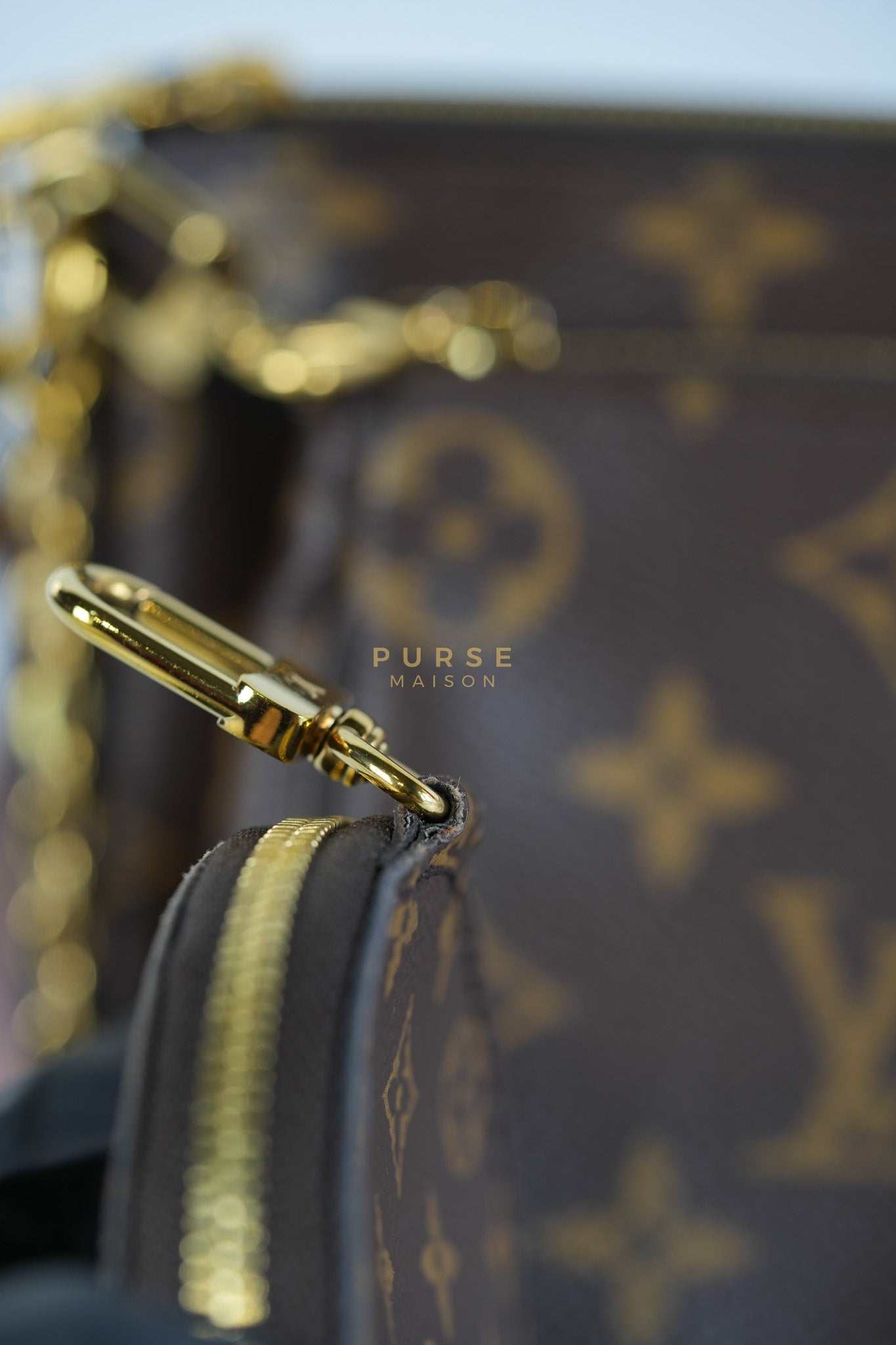 Multi Pochette Shoulder Bag in Monogram Canvas & Gold Hardware Microchip | Purse Maison Luxury Bags Shop