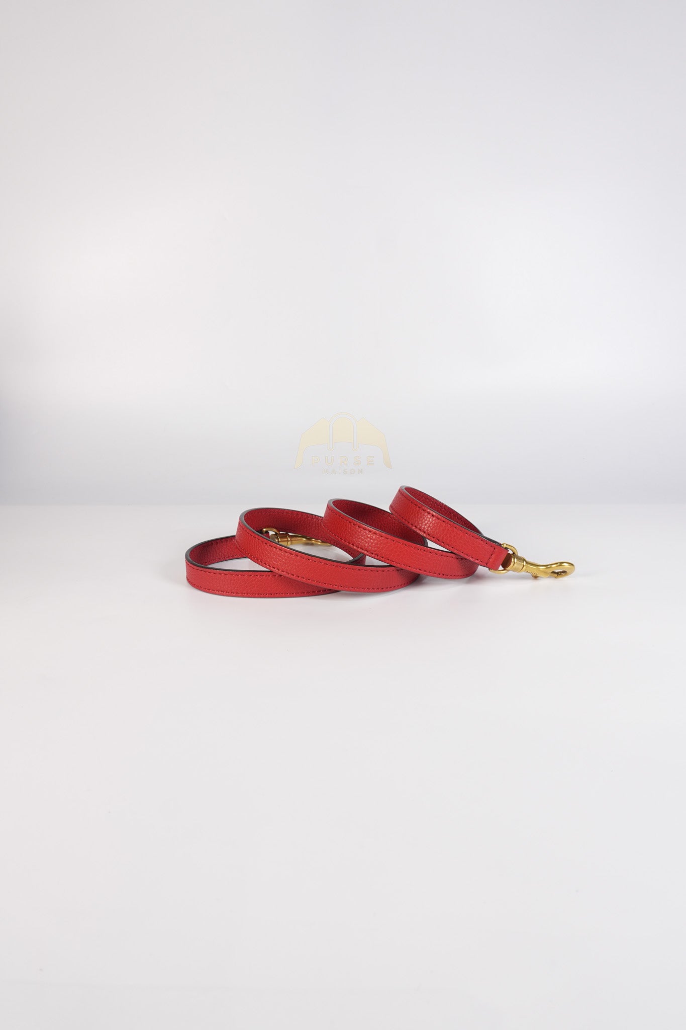 Nano Luggage Tote Bag in Red Grained Calfskin Leather & Gold Hardware | Purse Maison Luxury Bags Shop