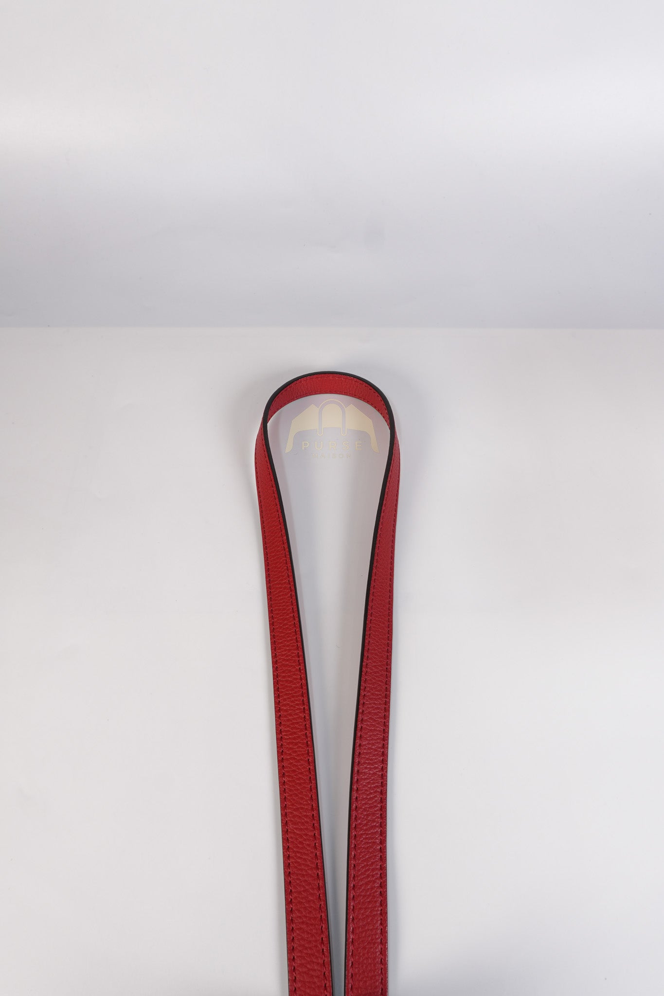 Nano Luggage Tote Bag in Red Grained Calfskin Leather & Gold Hardware | Purse Maison Luxury Bags Shop