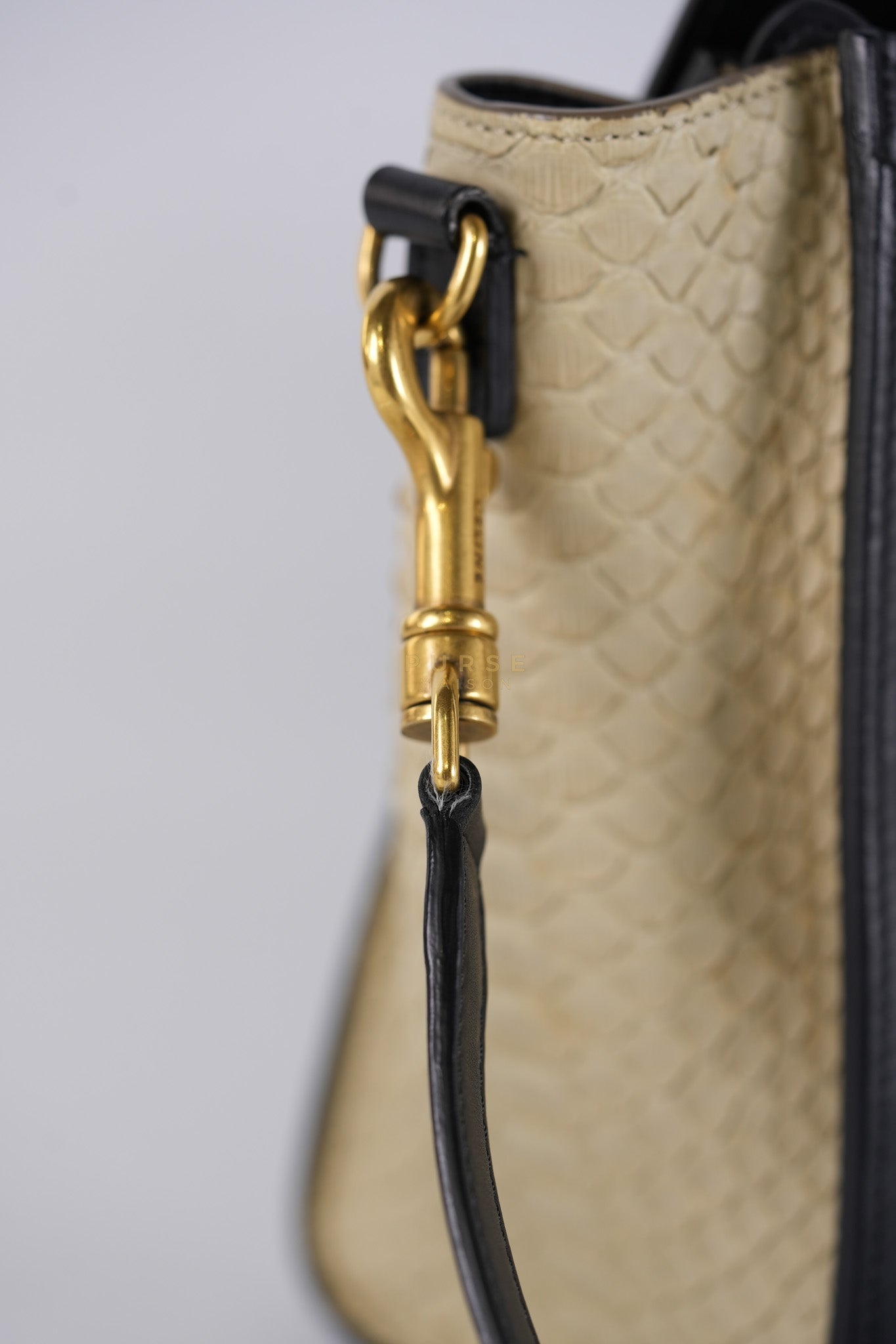 Nano Luggage Tri-color in Python Exotic Leather | Purse Maison Luxury Bags Shop
