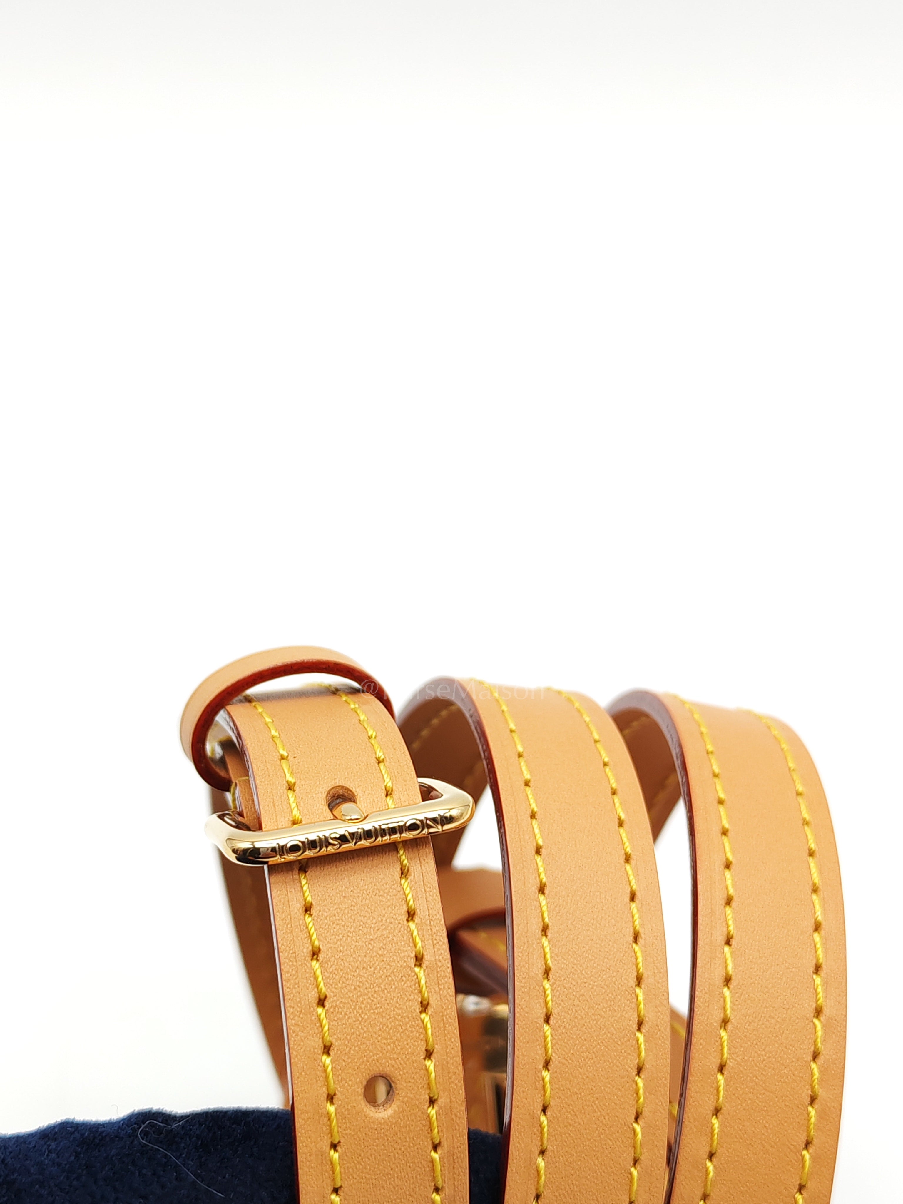 Nano Speedy Bandoulière in Monogram Canvas & Gold Hardware (Datecode: TN3265) | Purse Maison Luxury Bags Shop