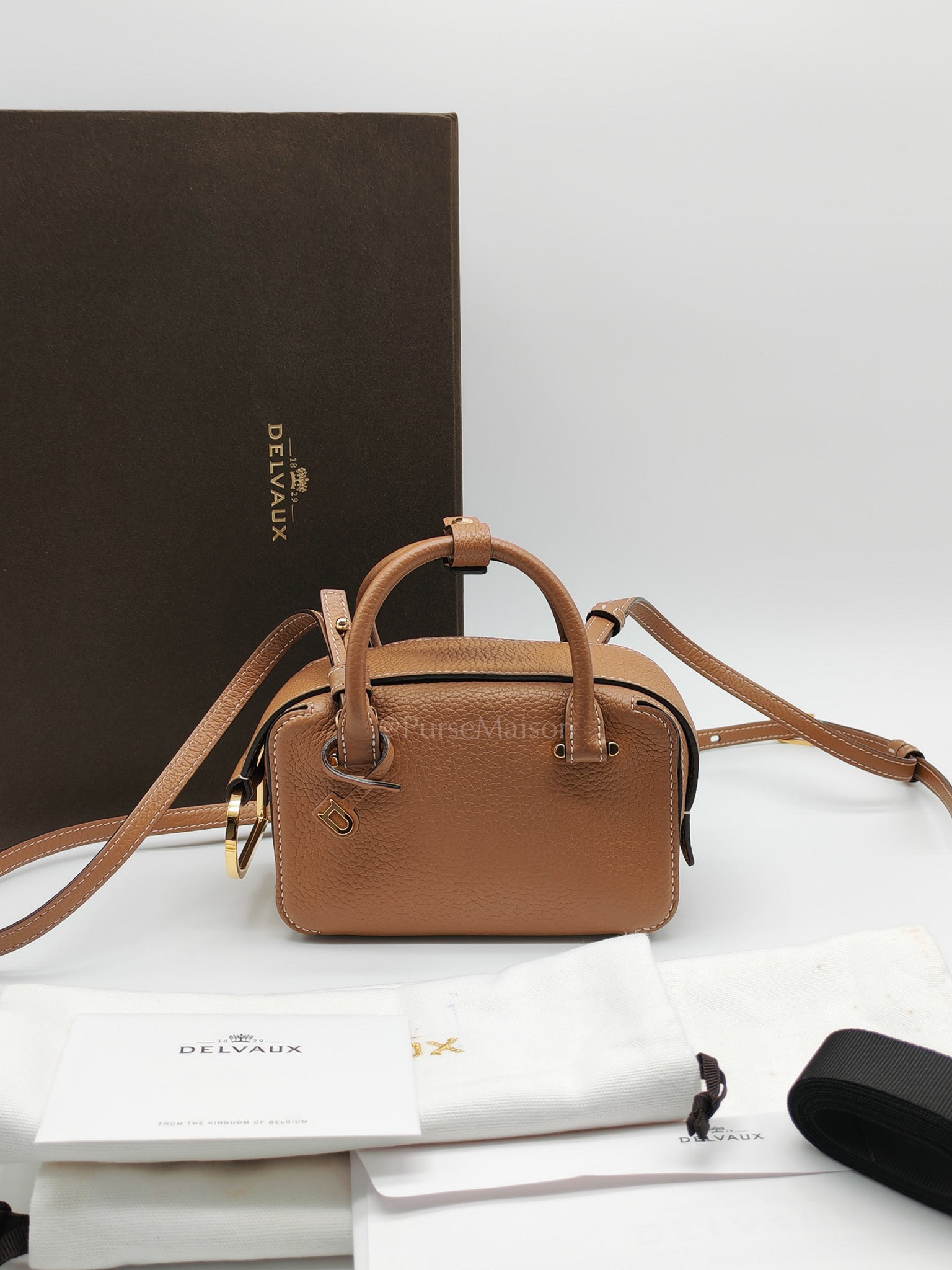 Cool Box Nano Satchel in Brown Taurillon Soft Leather & Gold Hardware