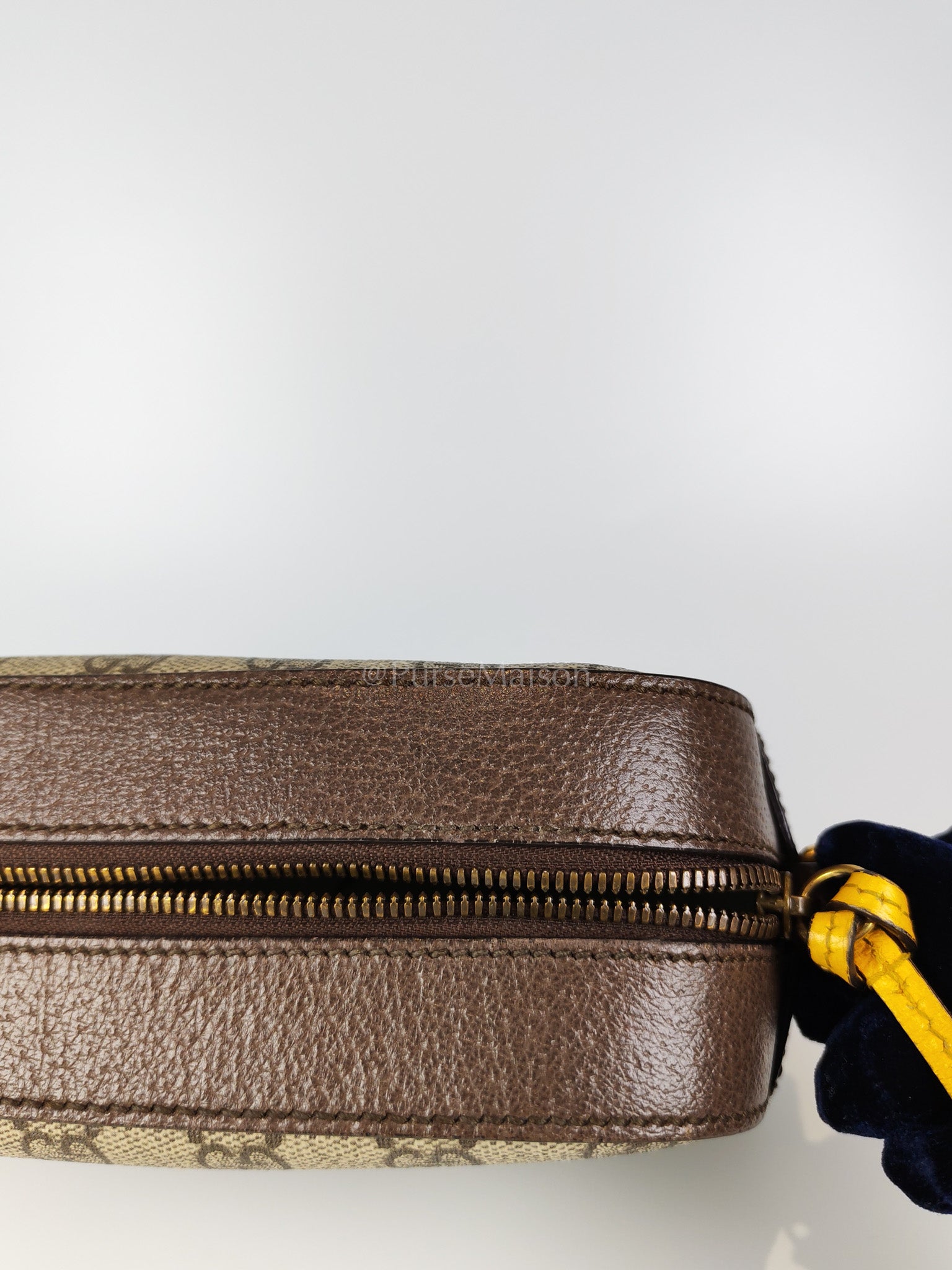 Neo Vintage Camera Bag in Supreme Monogram Canvas Crossbody Bag | Purse Maison Luxury Bags Shop