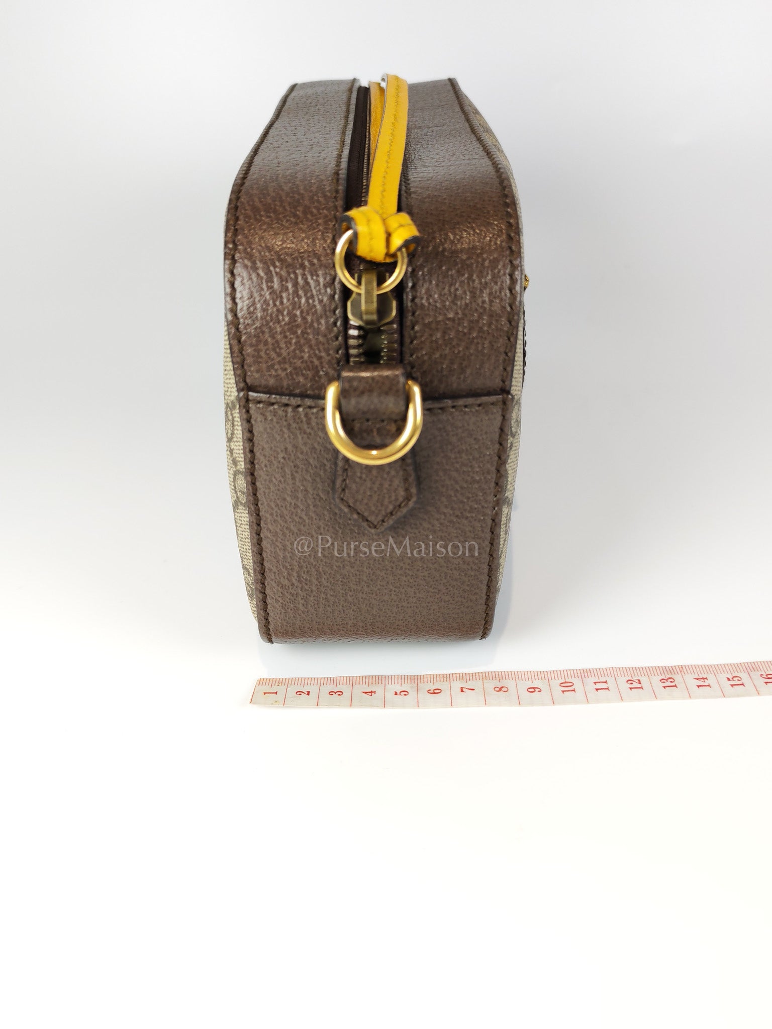 Neo Vintage Camera Bag in Supreme Monogram Canvas Crossbody Bag | Purse Maison Luxury Bags Shop