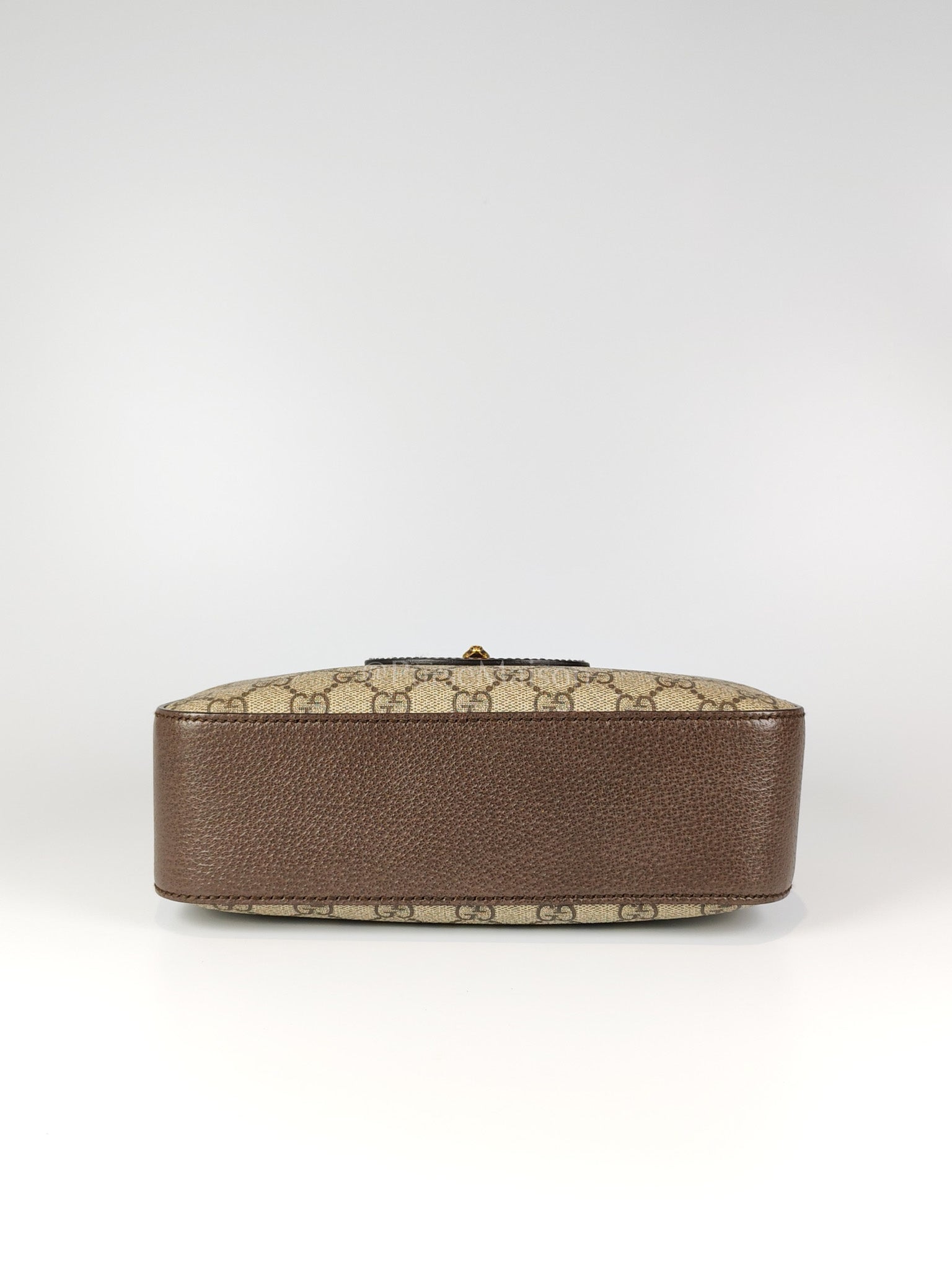 Neo Vintage Camera Bag in Supreme Monogram Canvas Crossbody Bag | Purse Maison Luxury Bags Shop