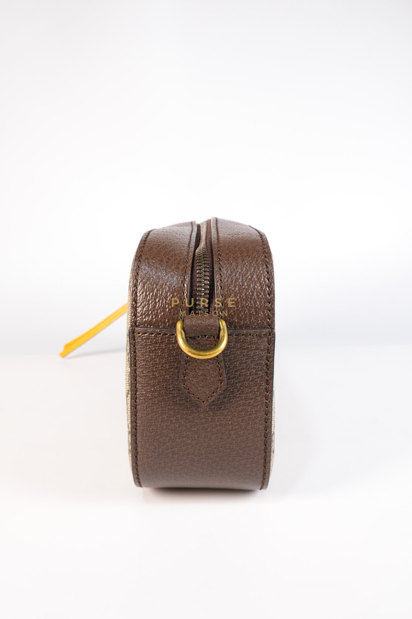 Neo Vintage Metallic Tiger Camera Bag in Supreme Monogram Canvas | Purse Maison Luxury Bags Shop